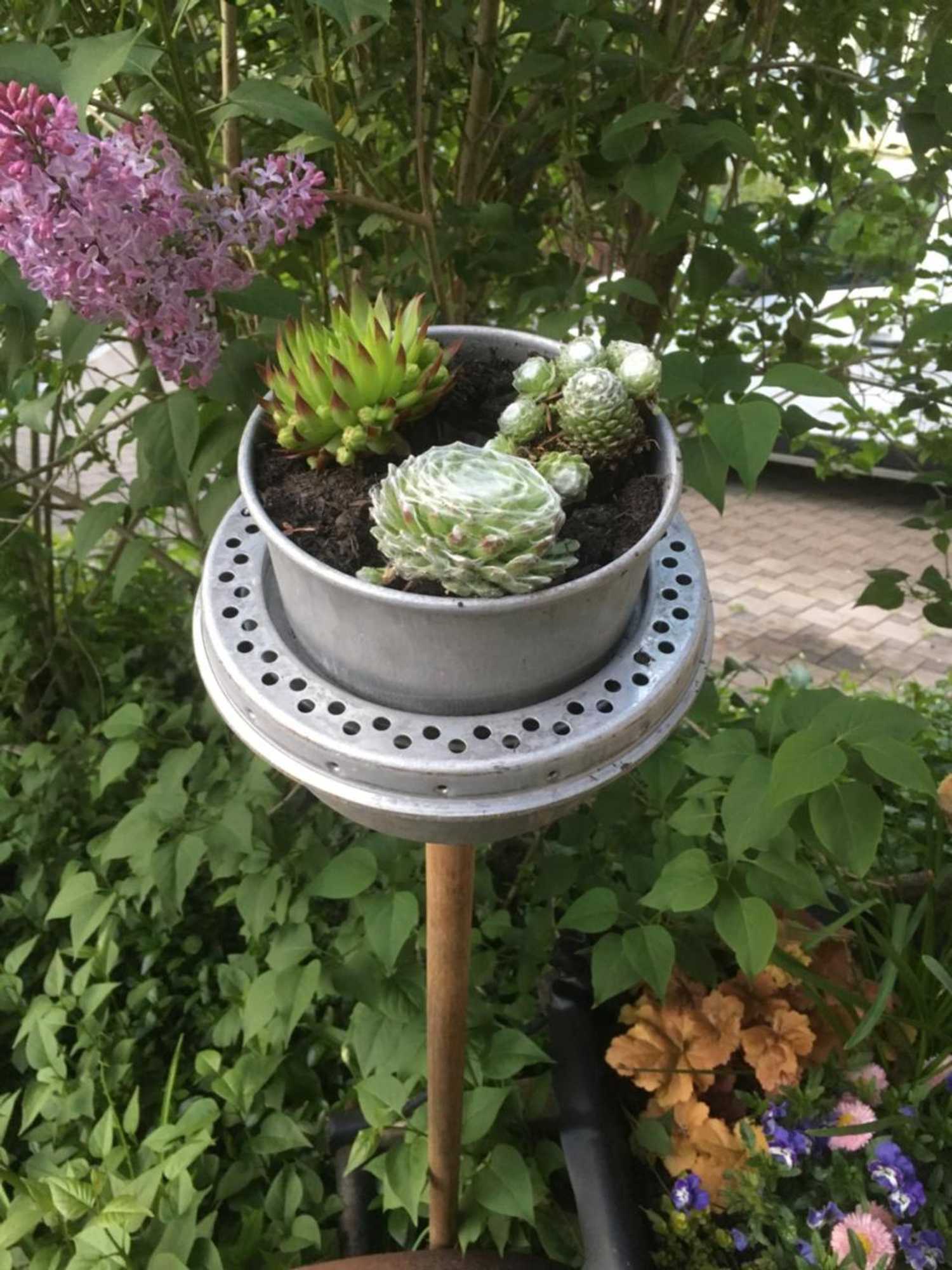 Gift card for Pension Chesselberg