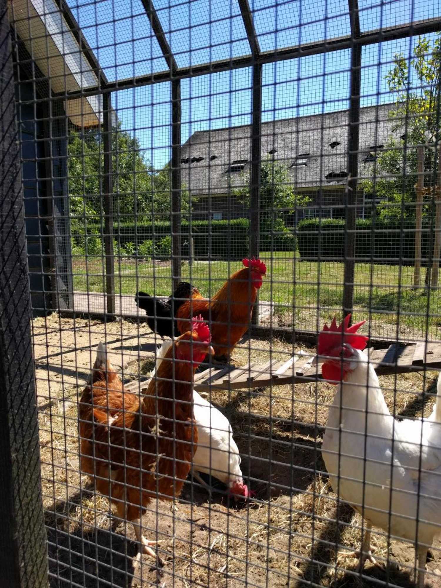 Gift card for B&b Agnetenhoeve