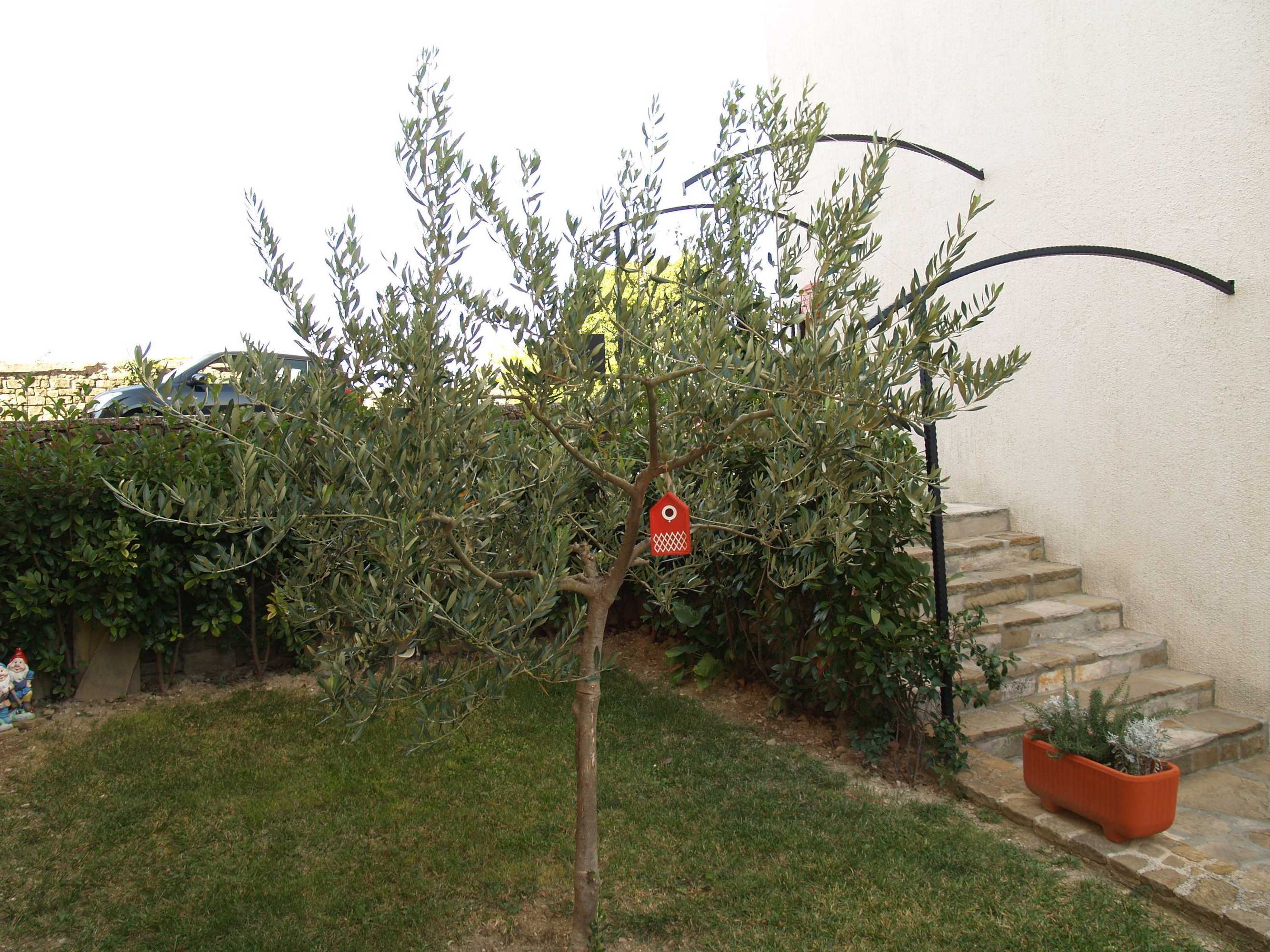 Gift card for Provvidenza