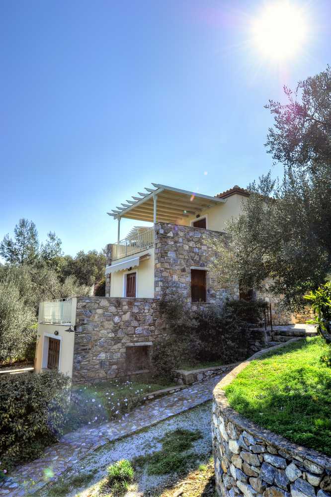 Gift card for Gera's Olive Grove