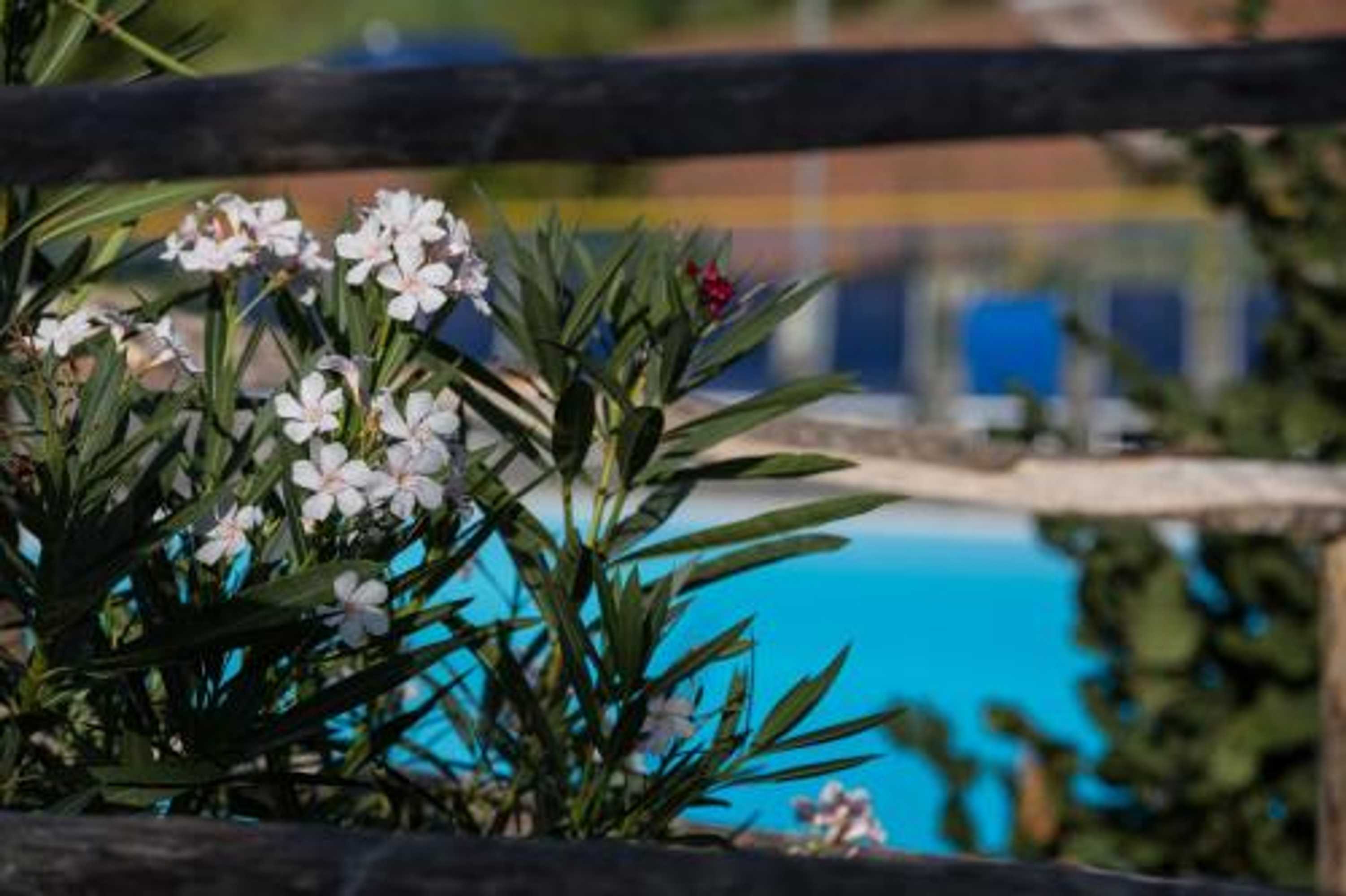 Gift card for Agriturismo Il Sole Gift card for Agriturismo Il Sole