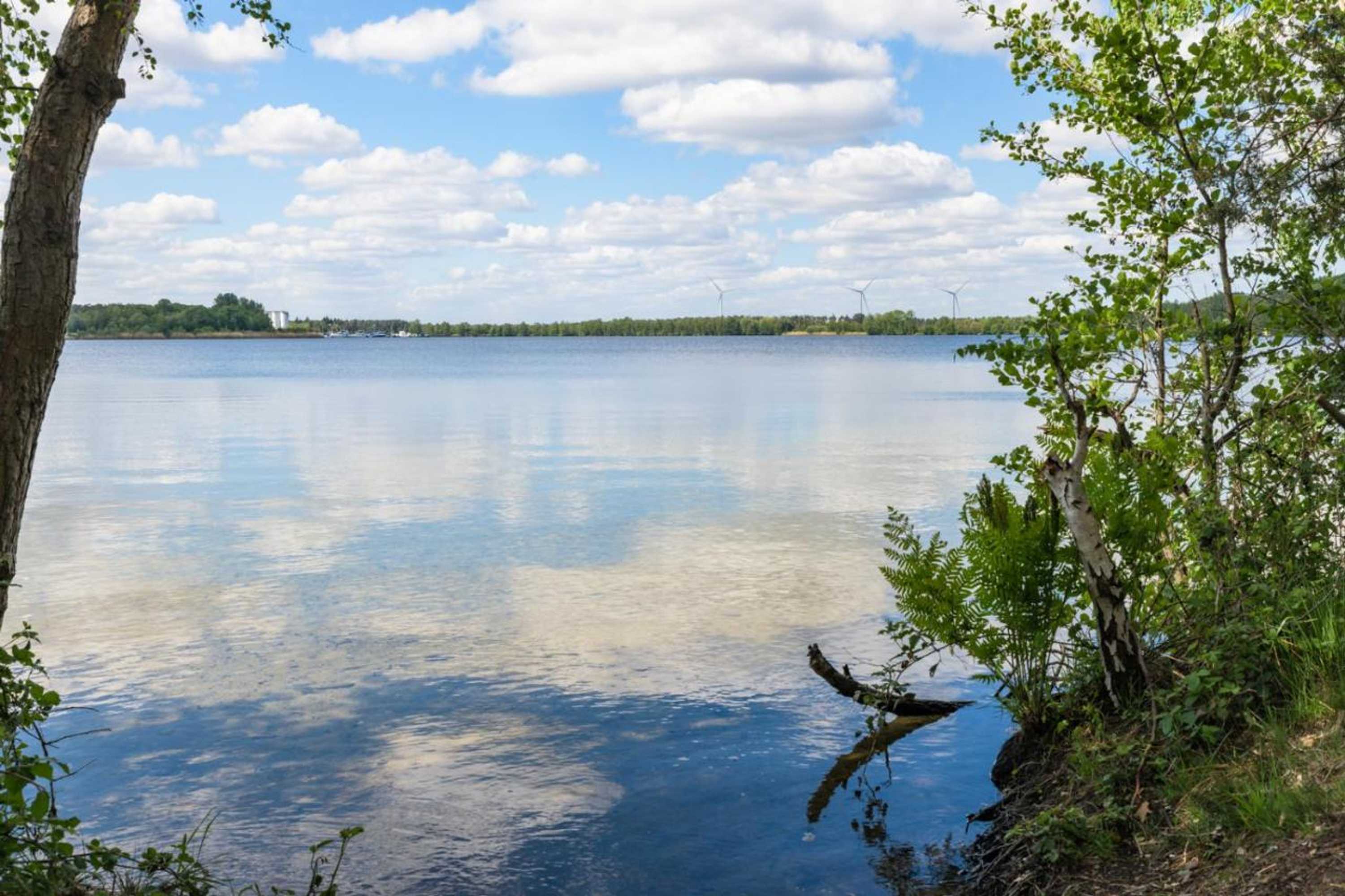 Gift card for B&b Molmento