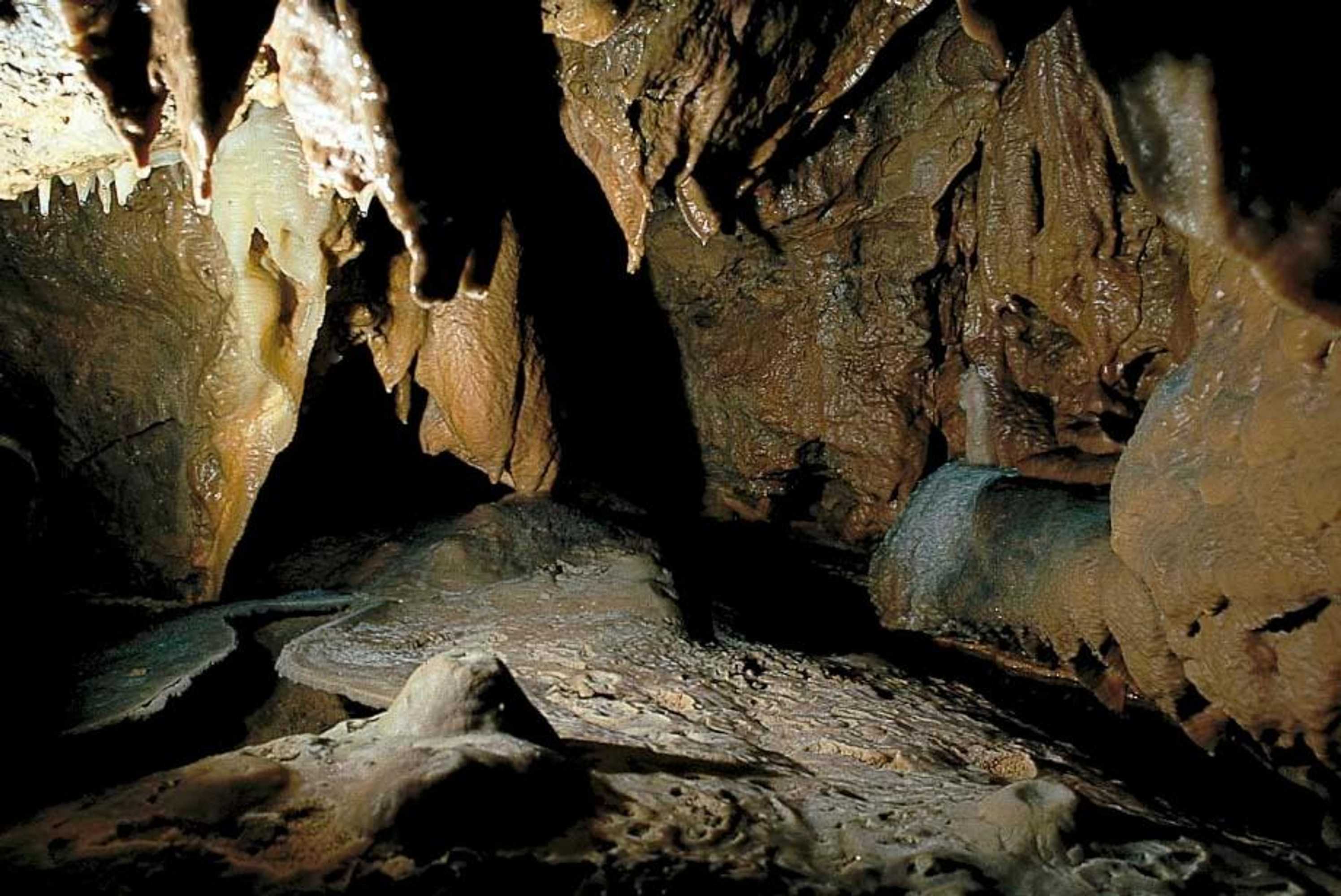 Gift card for Hotel Haus Recke