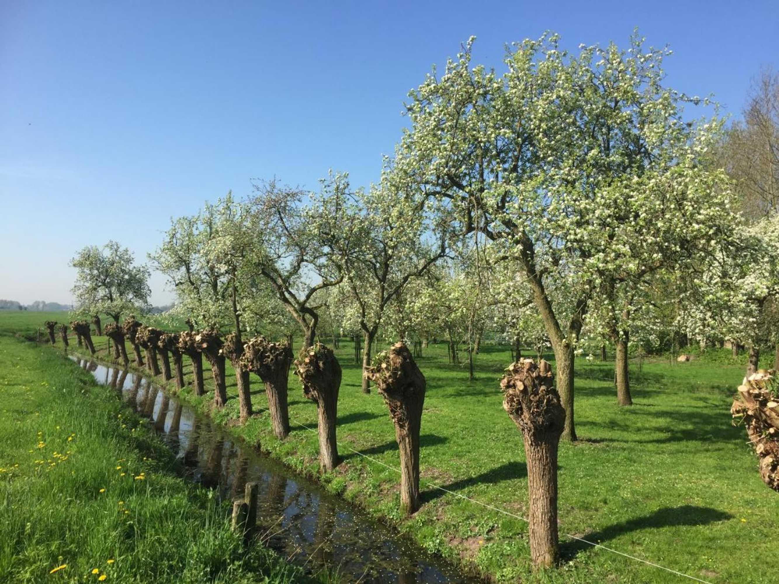 Gift card for Broeks' Bed En Brood