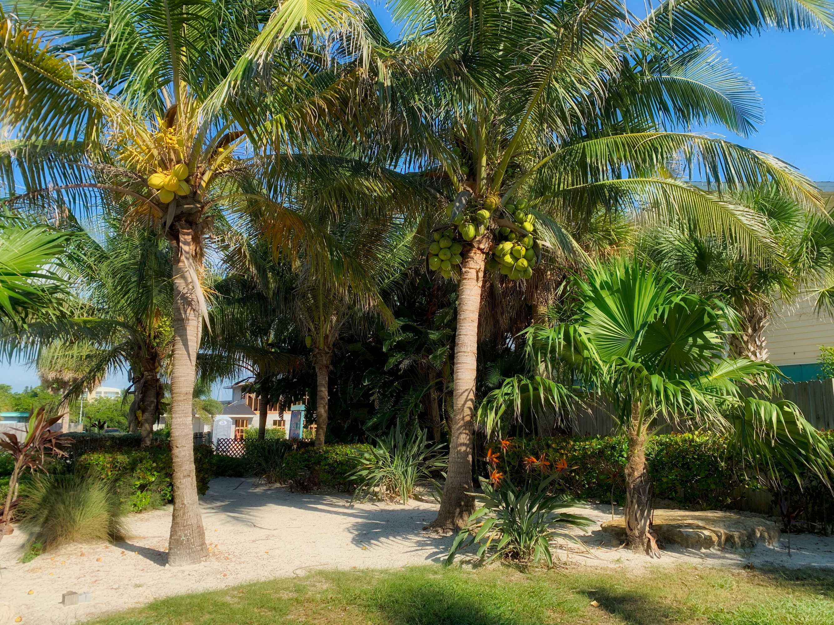 Gift card for Casey Key Resorts - Beachfront Gift card for Casey Key Resorts - Beachfront