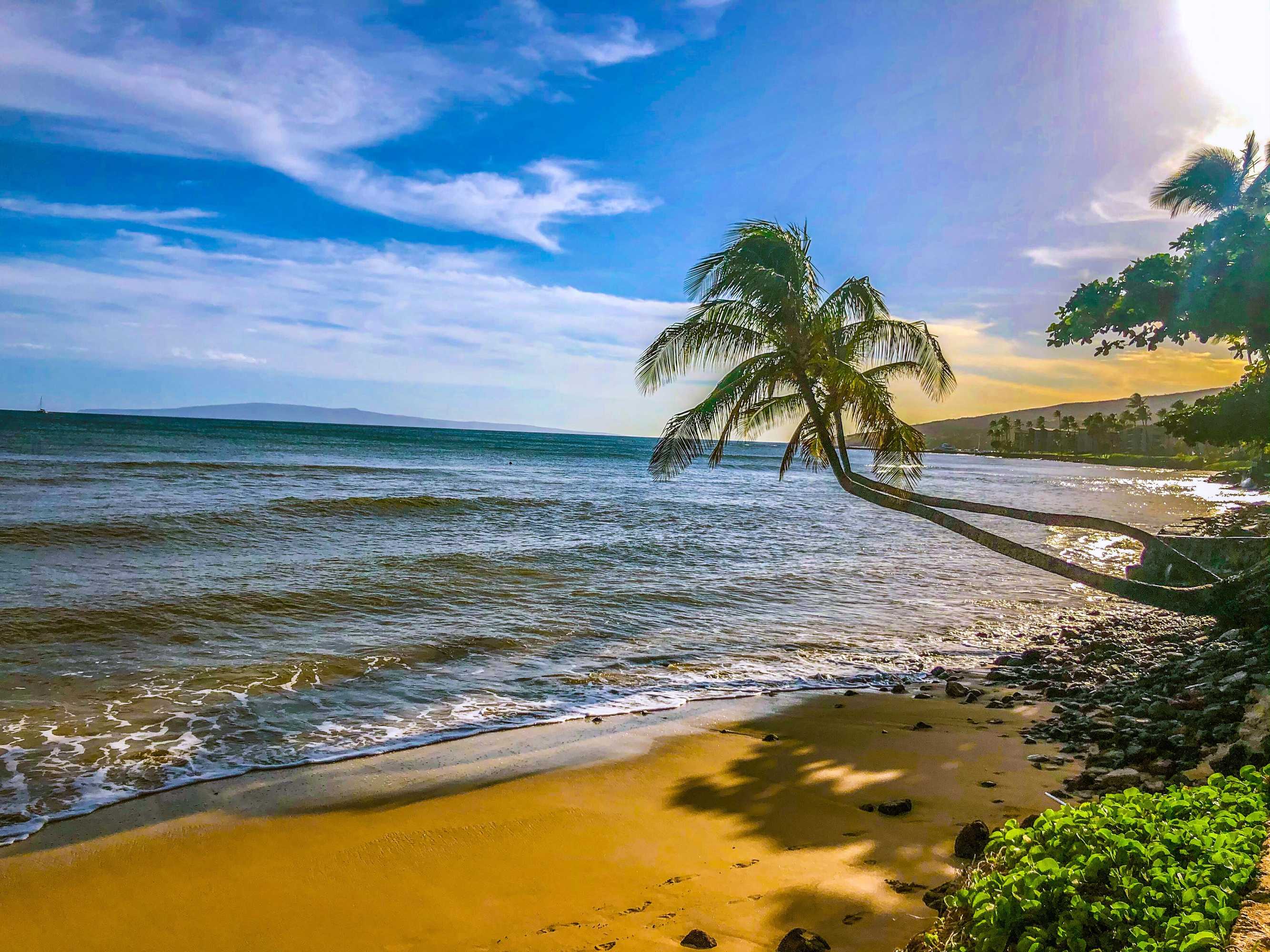 Gift card for Hono Kai A10