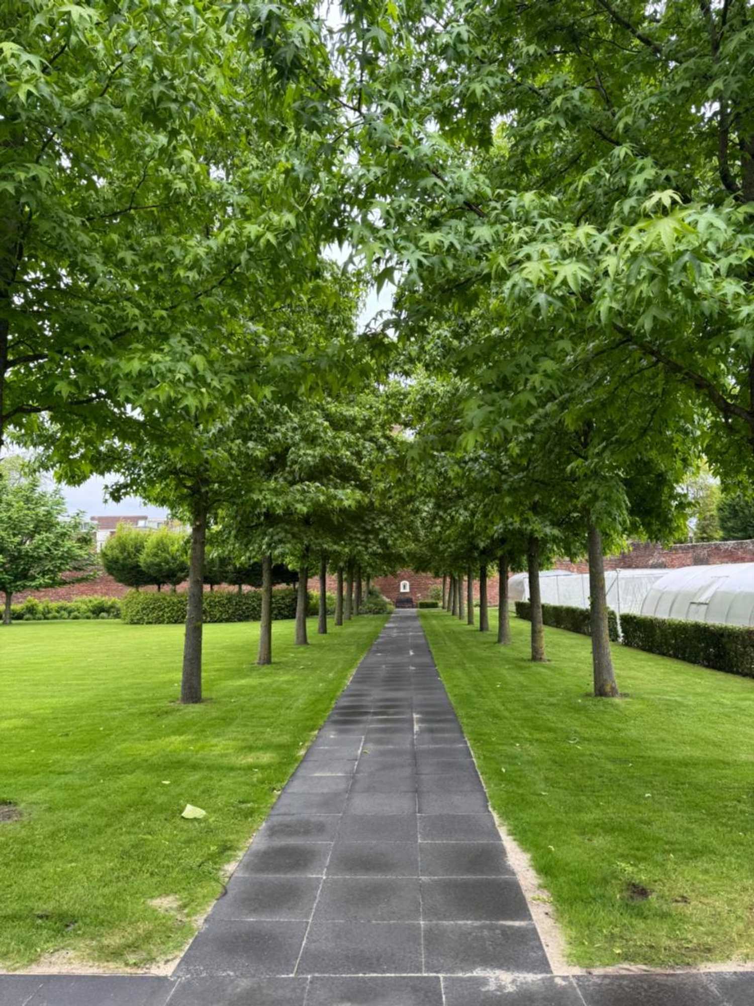 Gift card for B&b Maria Hart