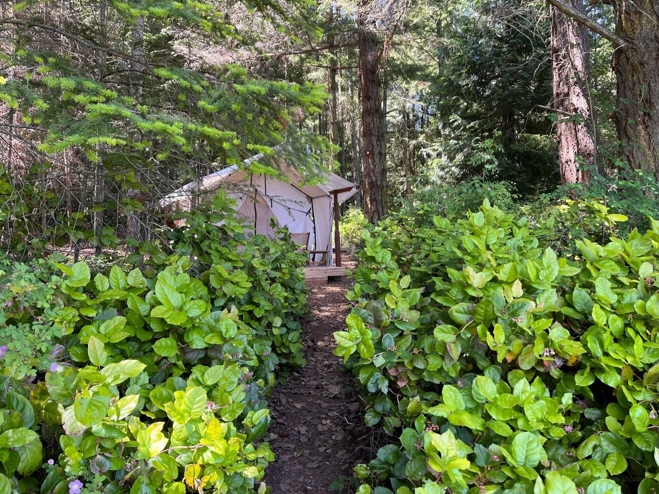 Gift card for Lopez Farm Cottages & Tent Camping Gift card for Lopez Farm Cottages & Tent Camping