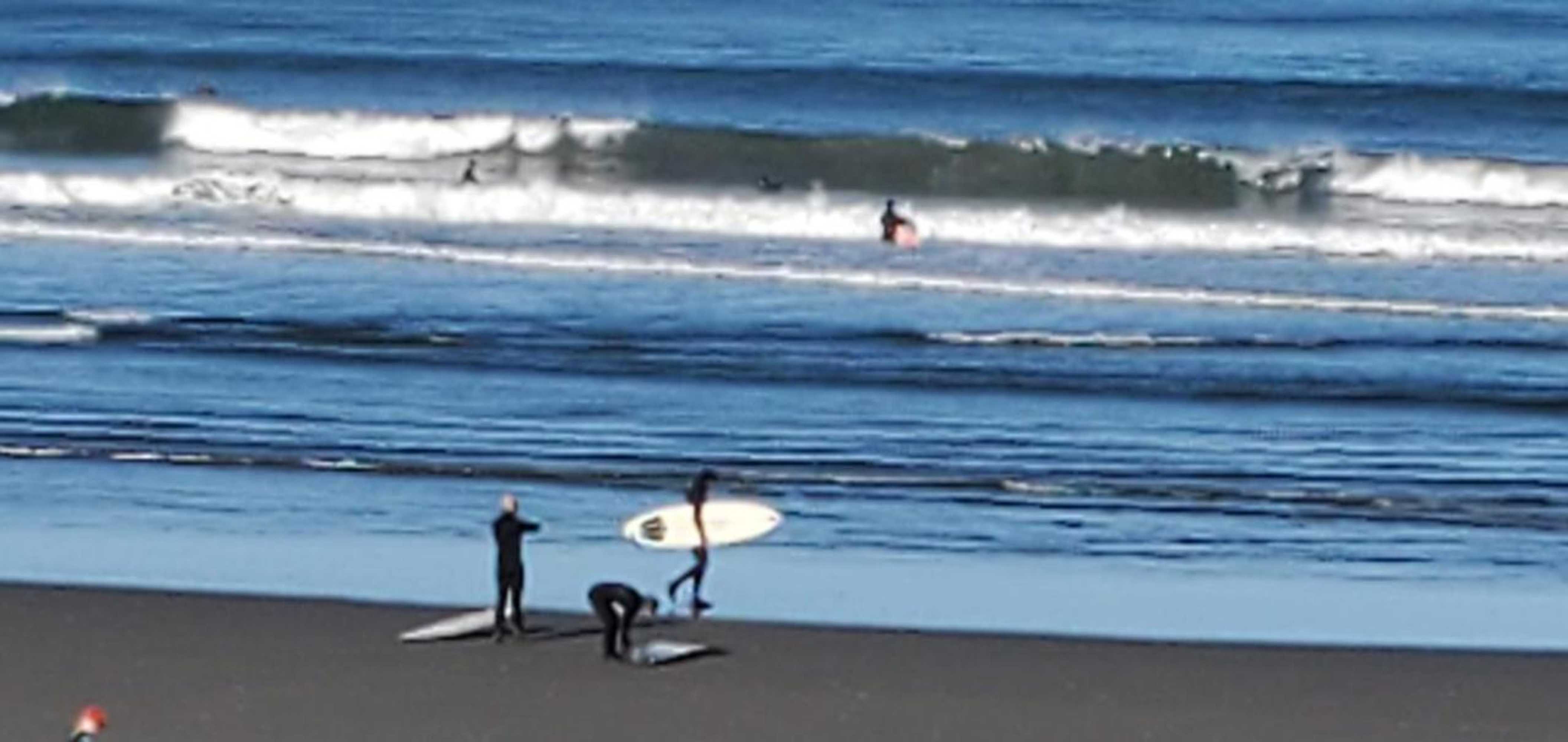 Gift card for Mariners Cove Inn