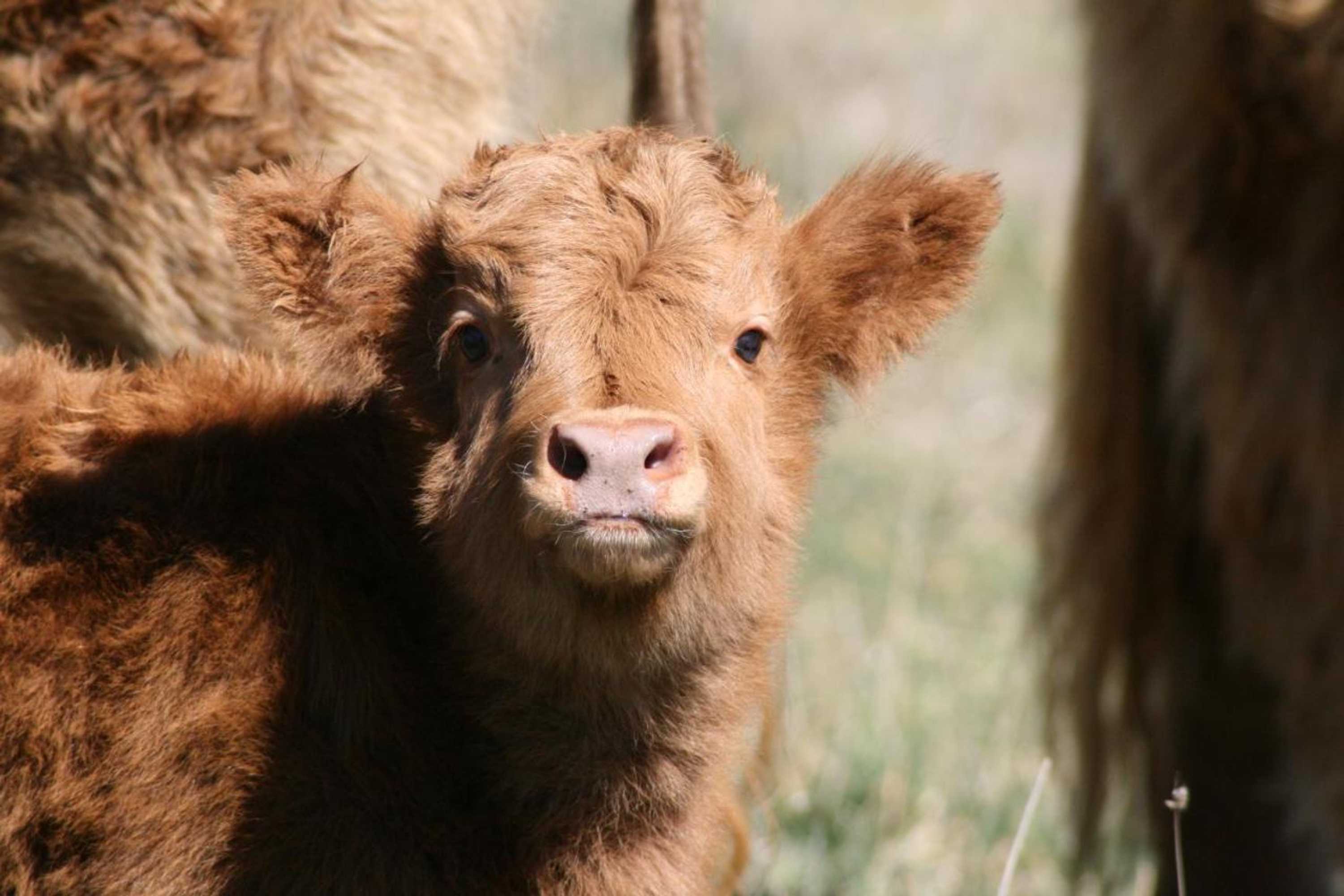 Gift card for Lakeview Luxury Retreat