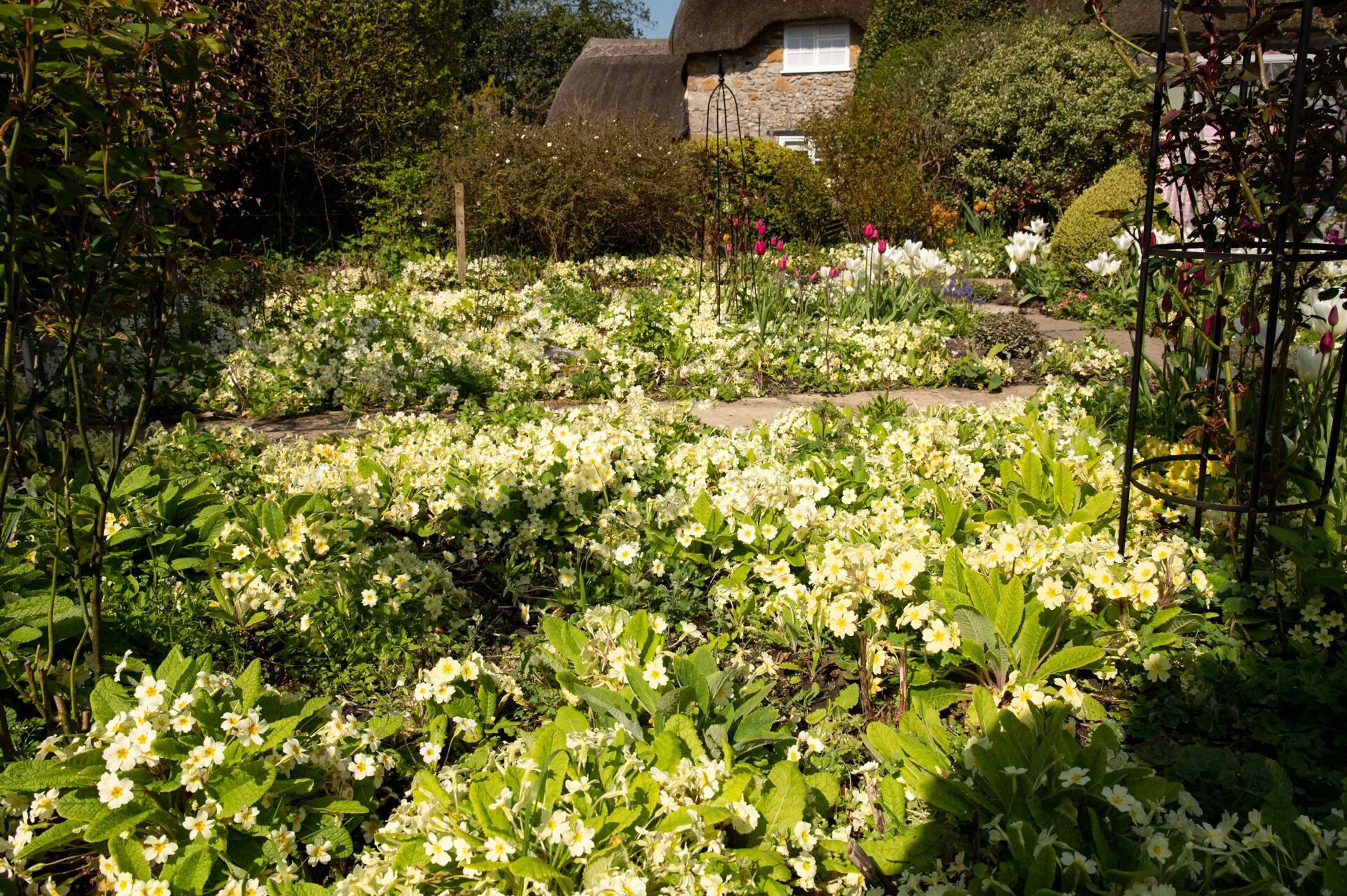 Gift card for Corner House