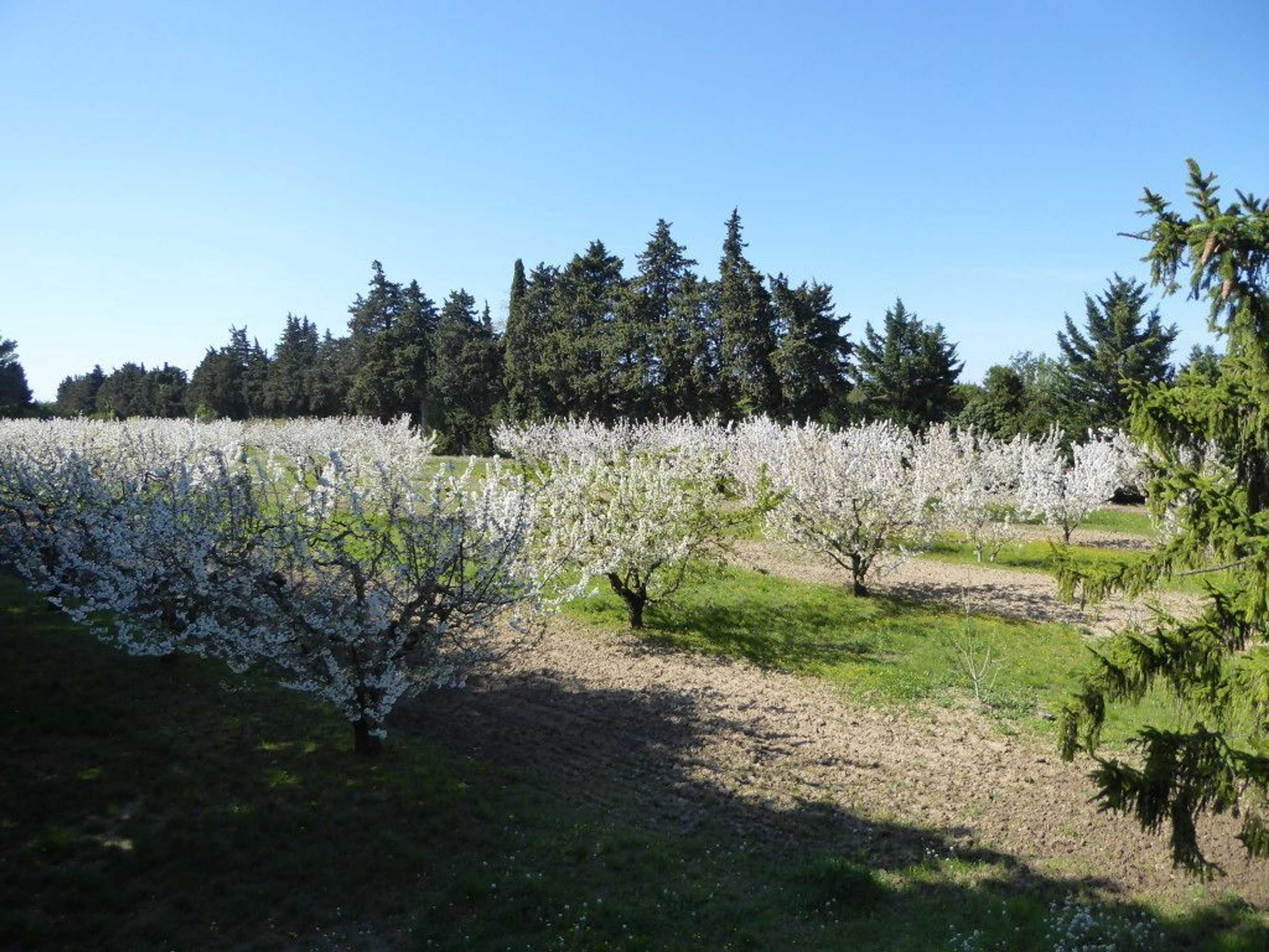 Gift card for Mas Las Vitalis Gift card for Mas Las Vitalis