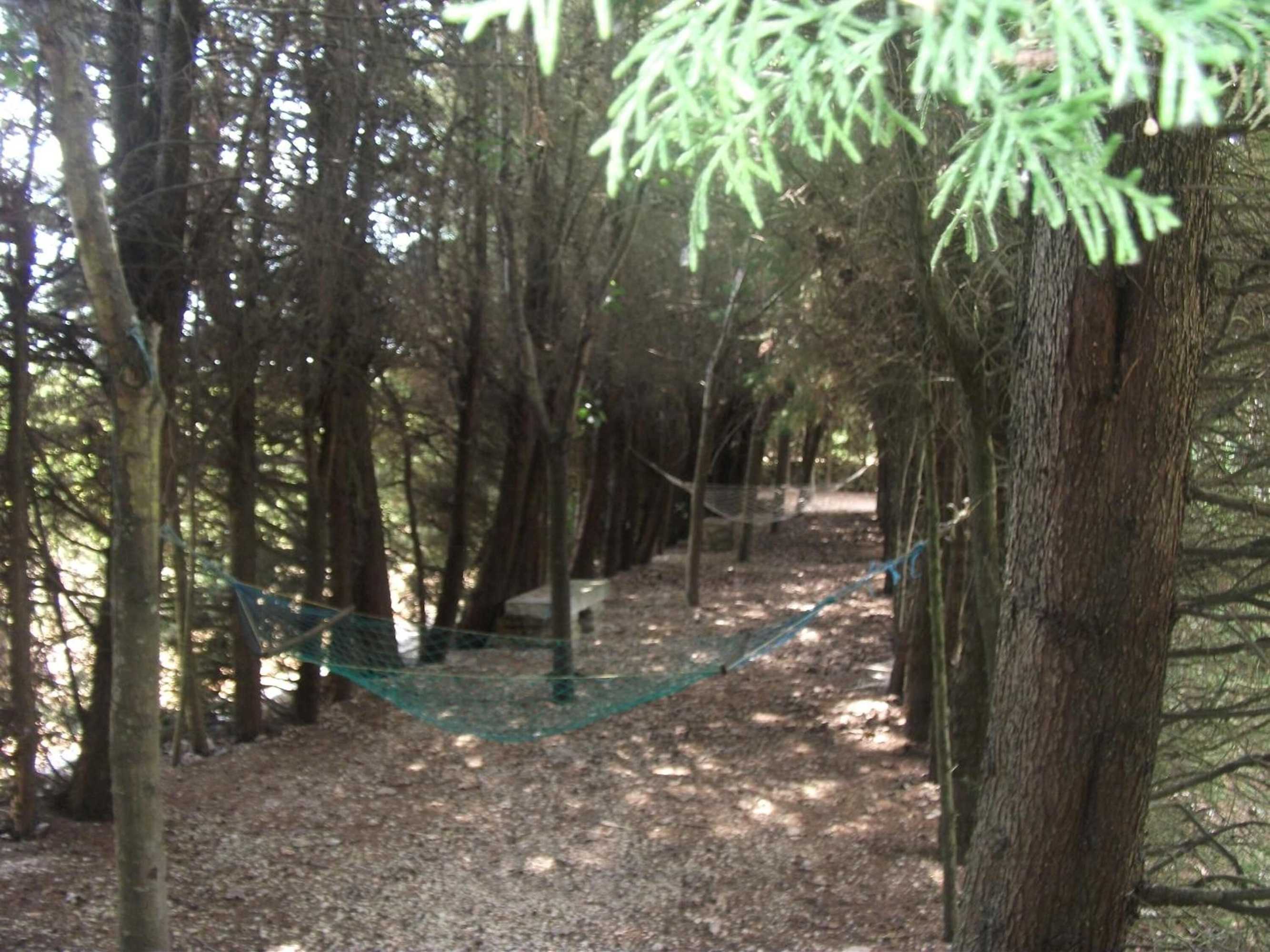 Gift card for Quinta Sul America