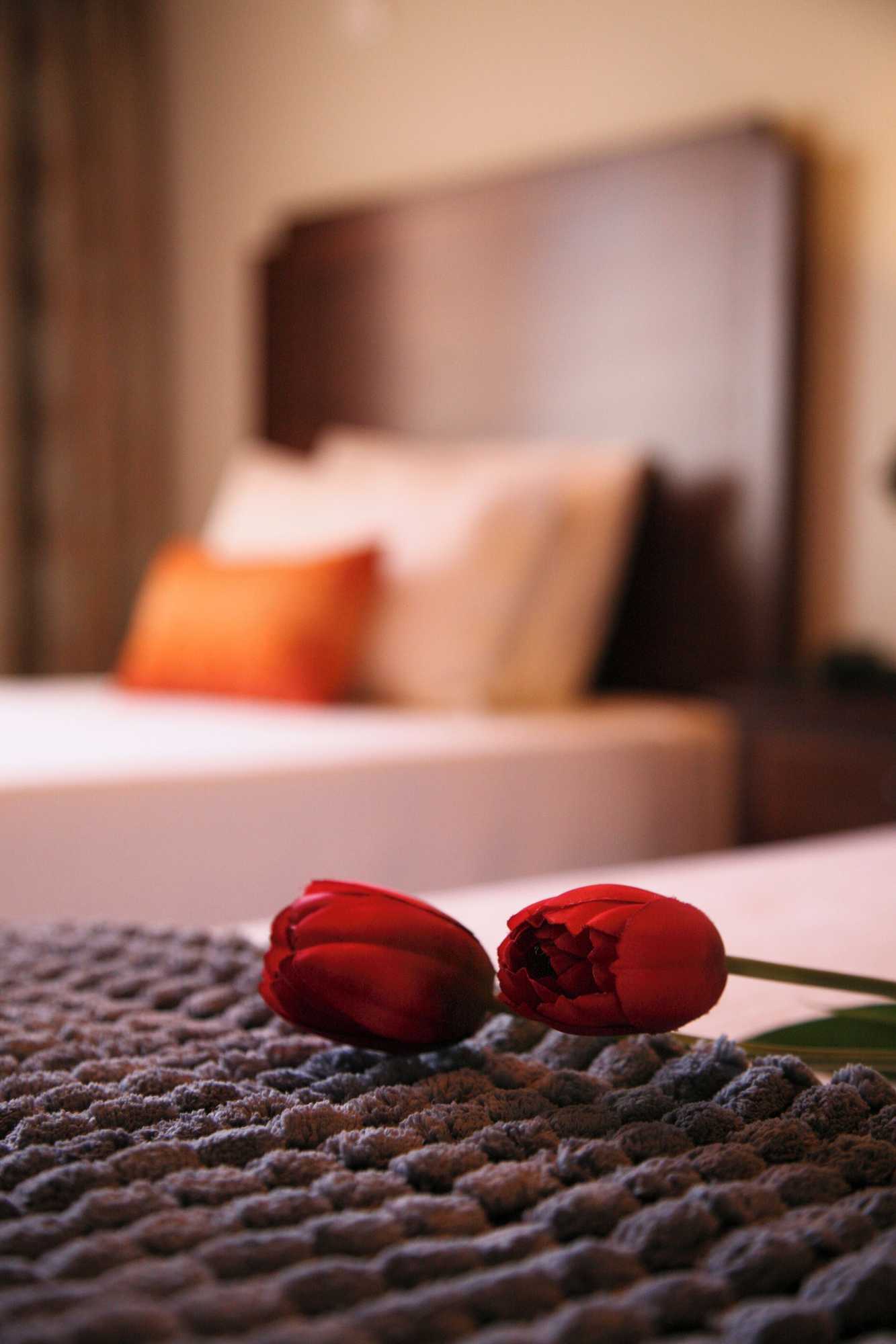 Gift card for Casa Manuel Espregueira e Oliveira