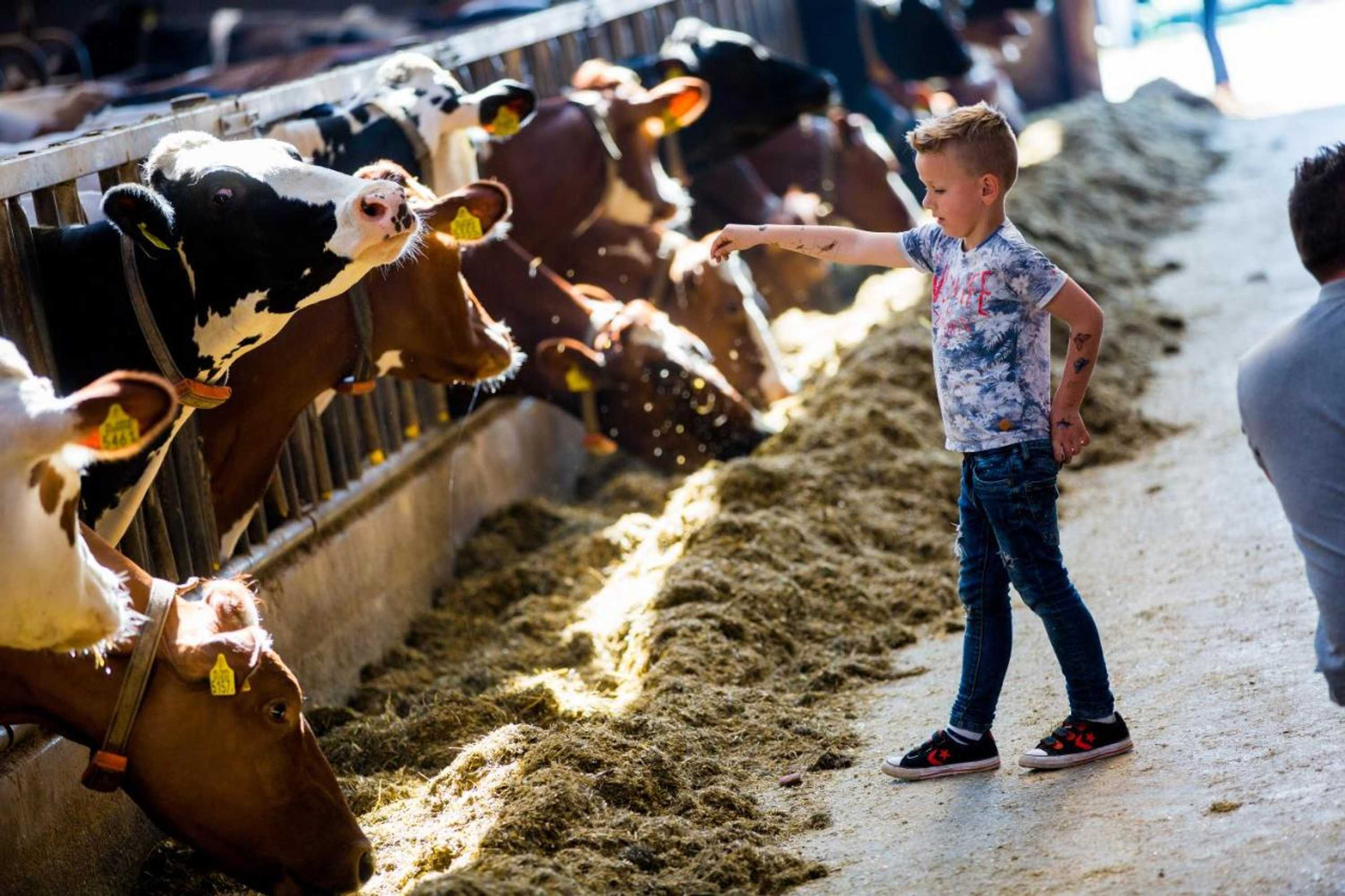 Gift card for B&b De Volkelse Hooiberg