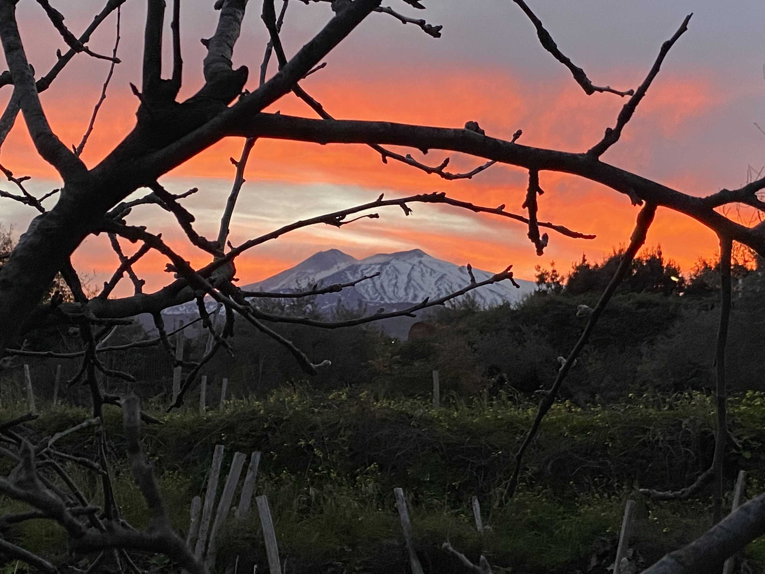 Gift card for Agriturismo Etna-Mare Gift card for Agriturismo Etna-Mare