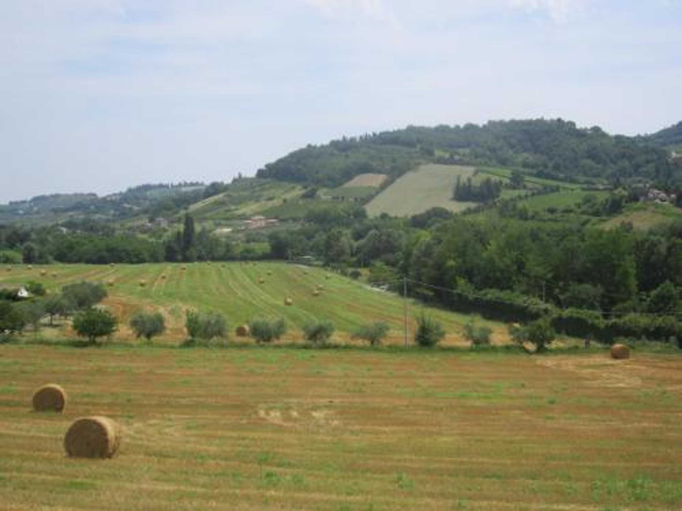 Gift card for Agriturismo le Spighe - Fattoria Bertaccini Gift card for Agriturismo le Spighe - Fattoria Bertaccini