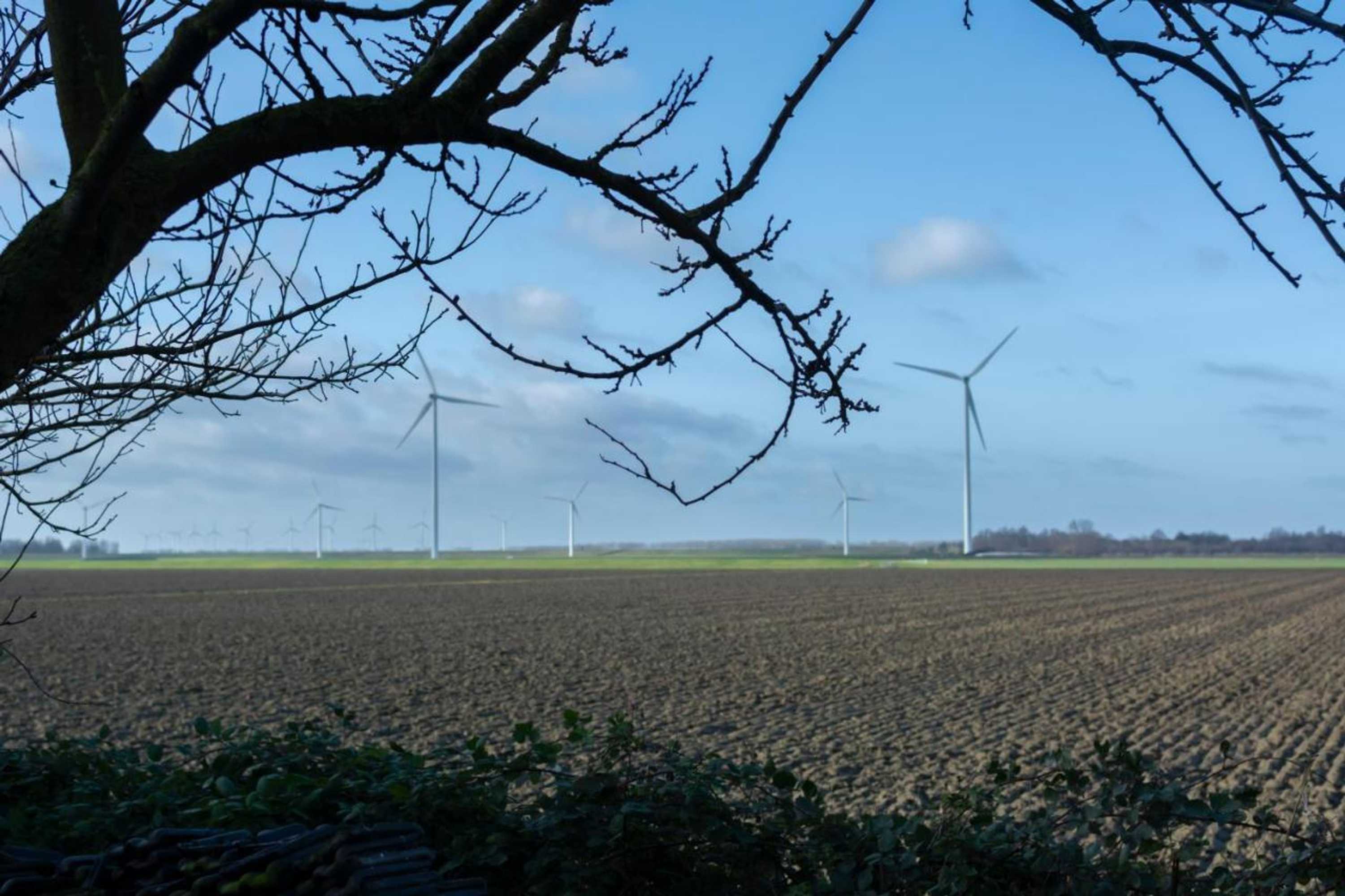 Gift card for Pure Passie Bed And Breakfast