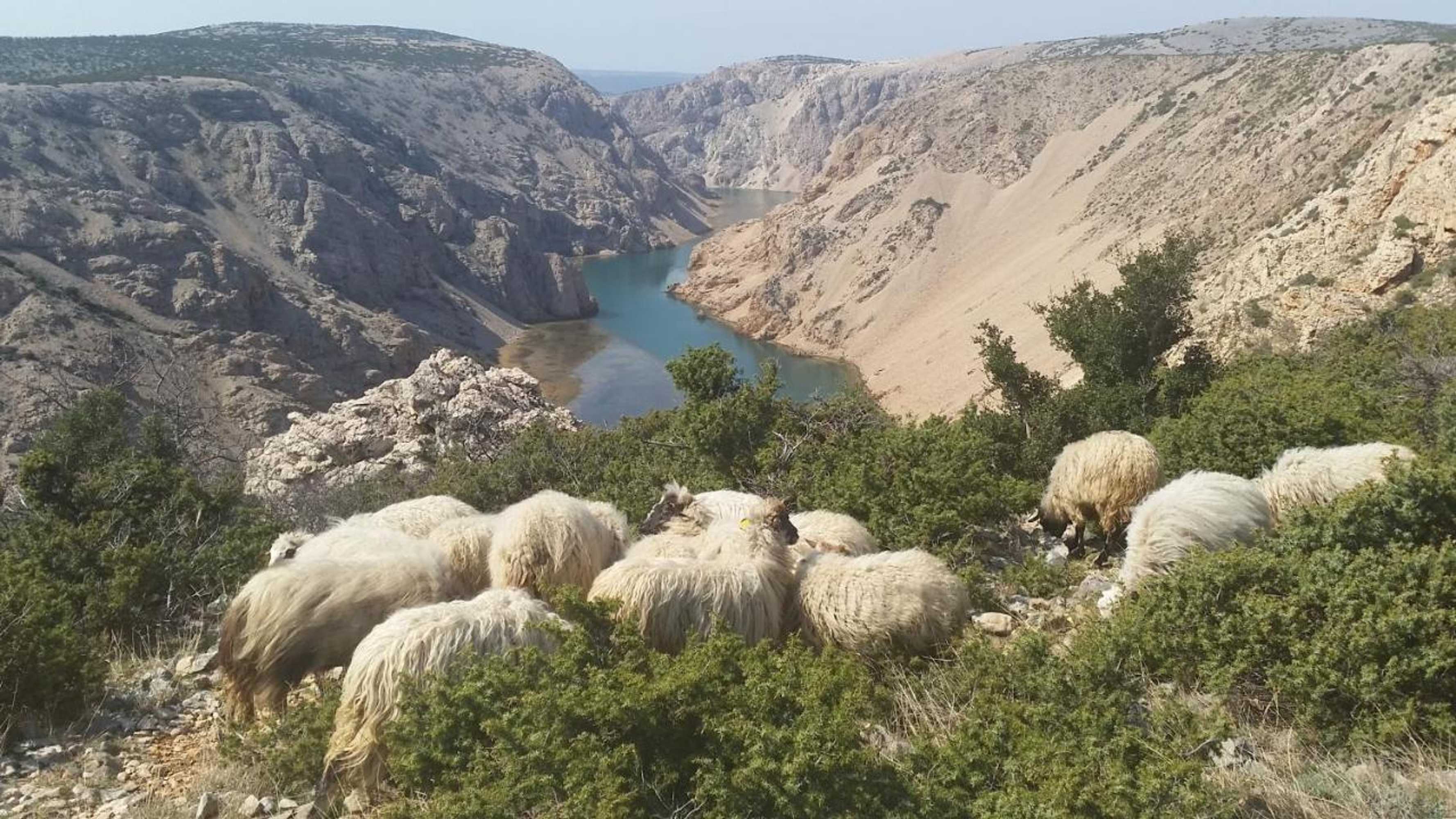 Gift card for Bed & Breakfast Dora