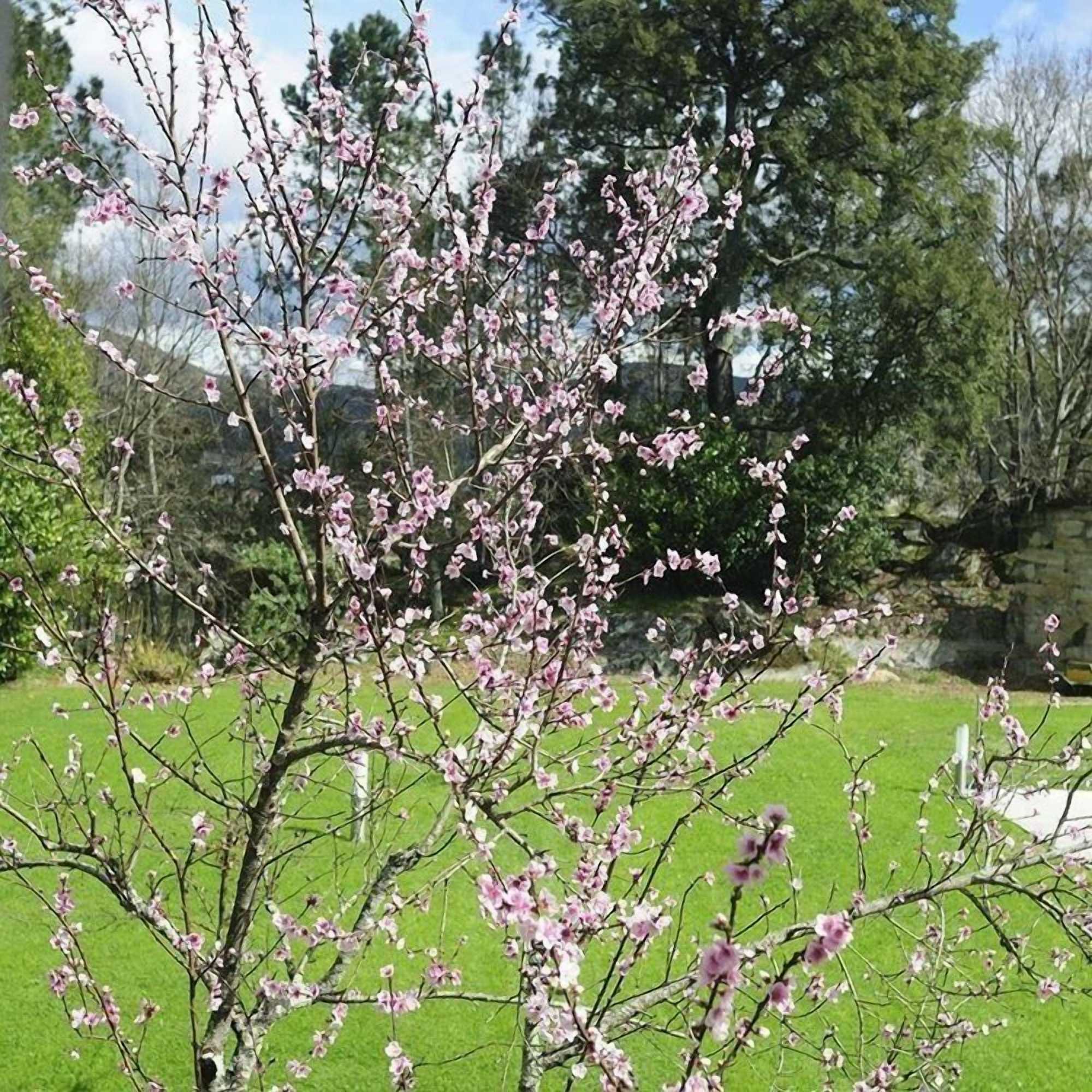 Gift card for Quinta do Pomar Maior