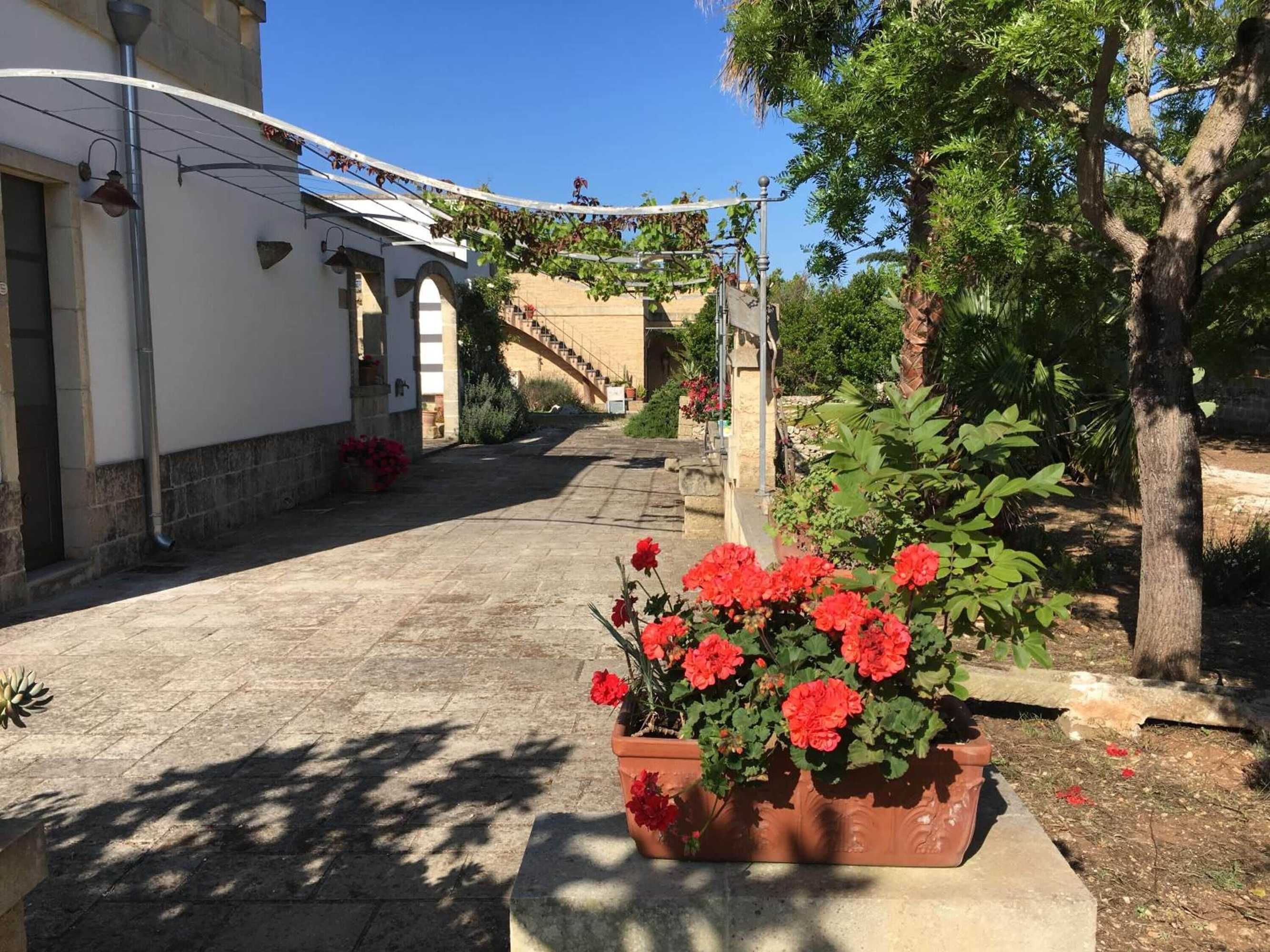 Gift card for Corte Dei Salentini Bed & Breakfast Gift card for Corte Dei Salentini Bed & Breakfast