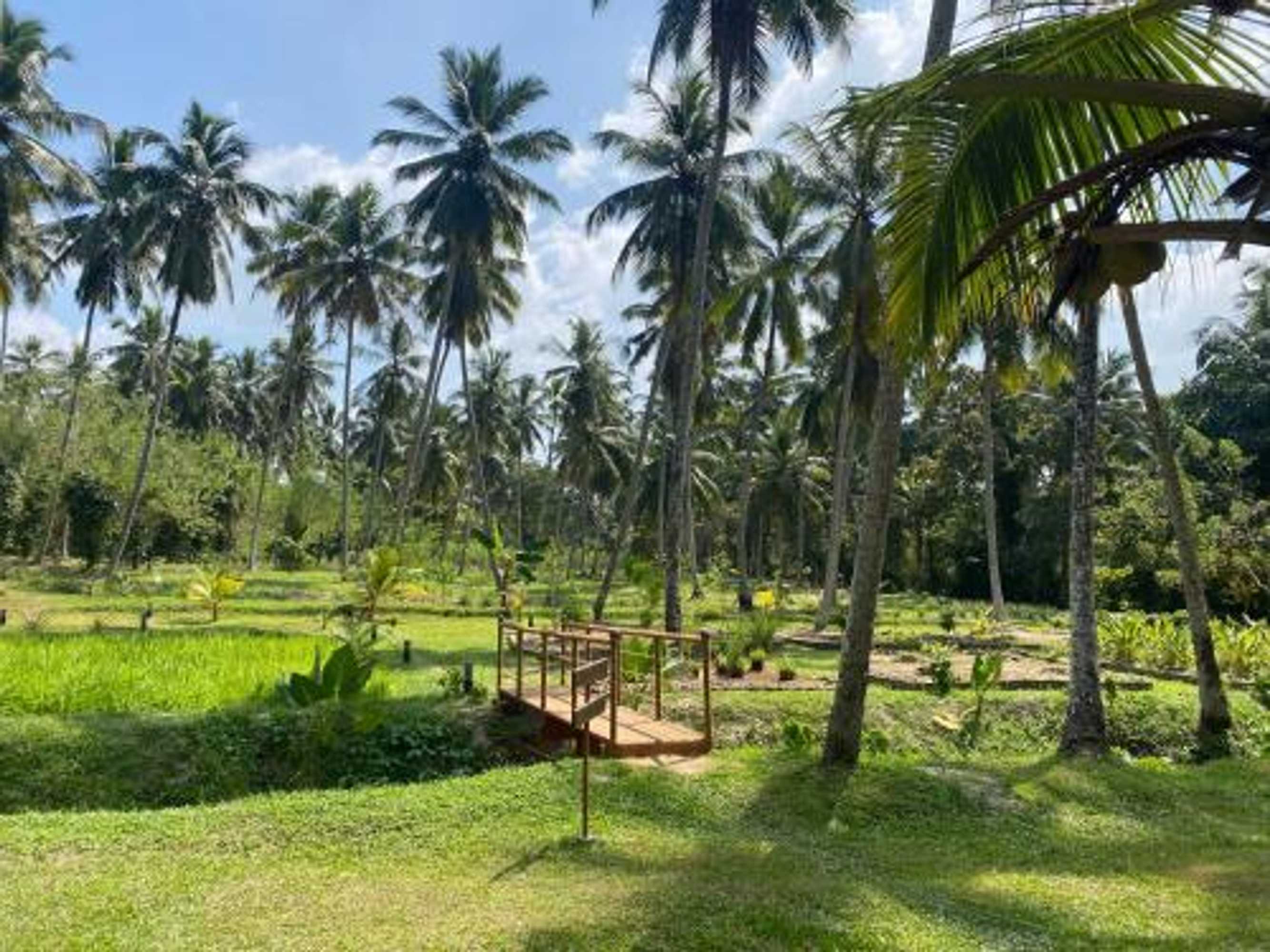 Gift card for Ambarella Lodge - Katunayake Gift card for Ambarella Lodge - Katunayake