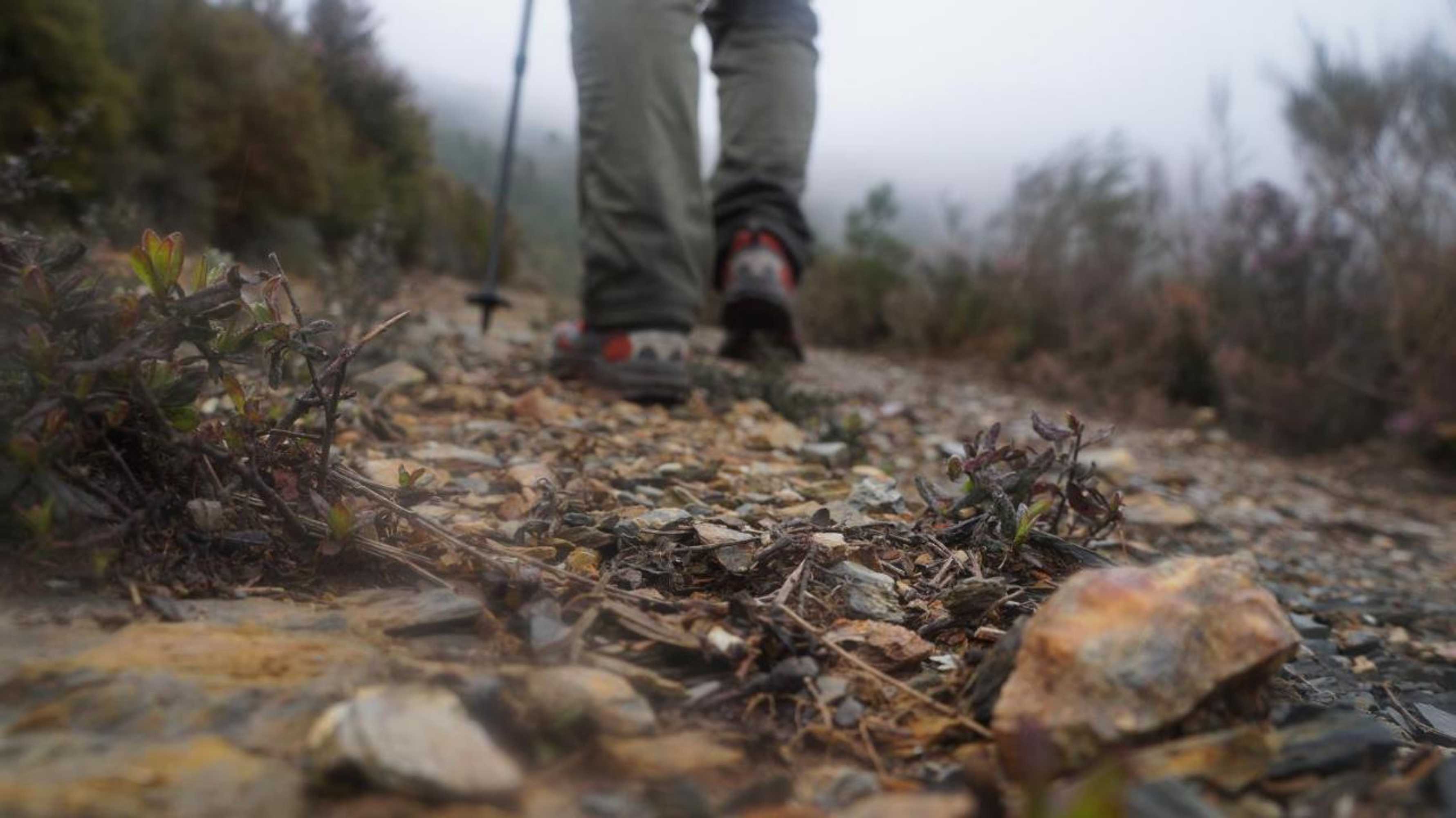 Gift card for Casa da Quelha