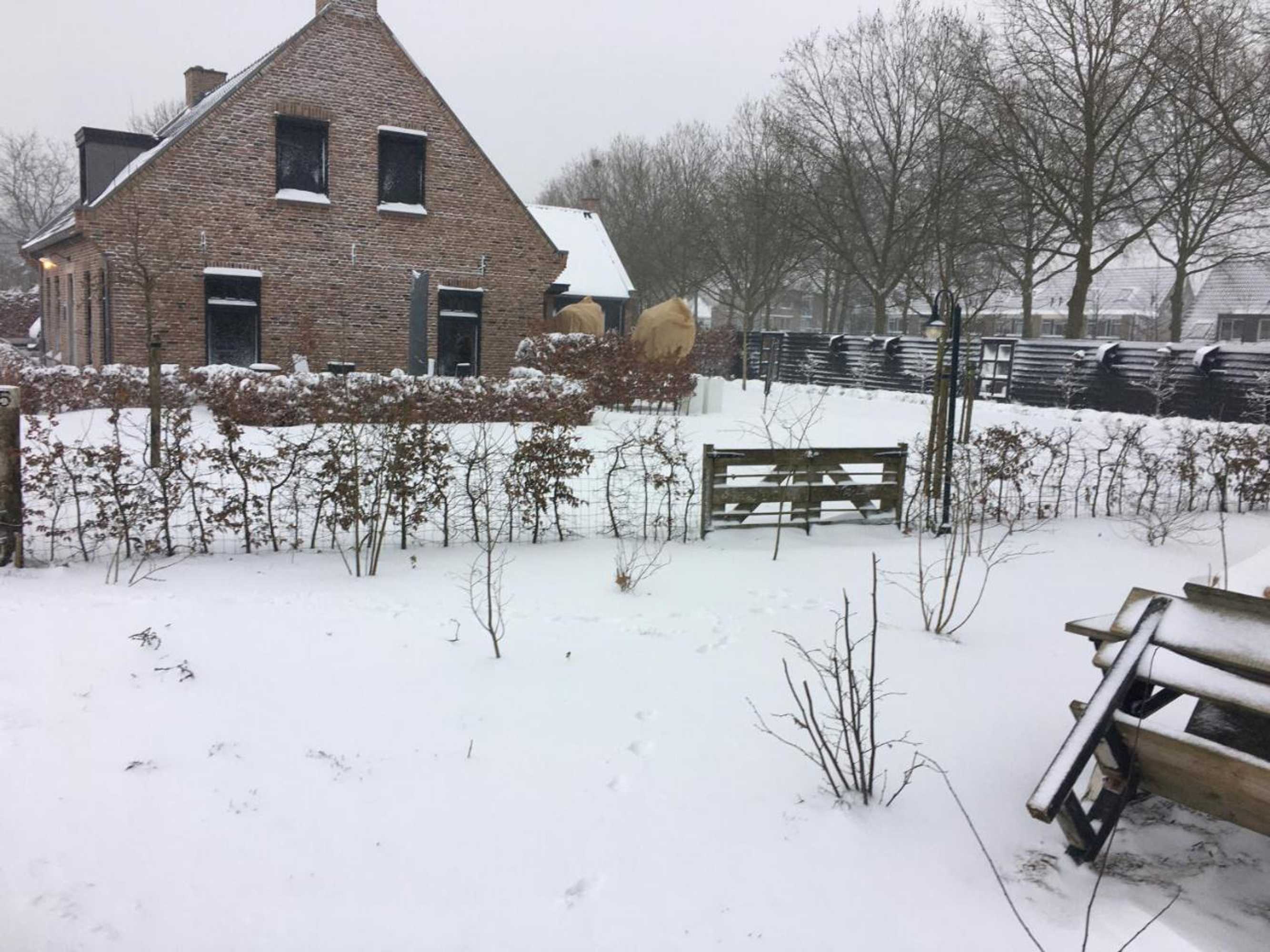 Gift card for Bed & Breakfast Bennekom