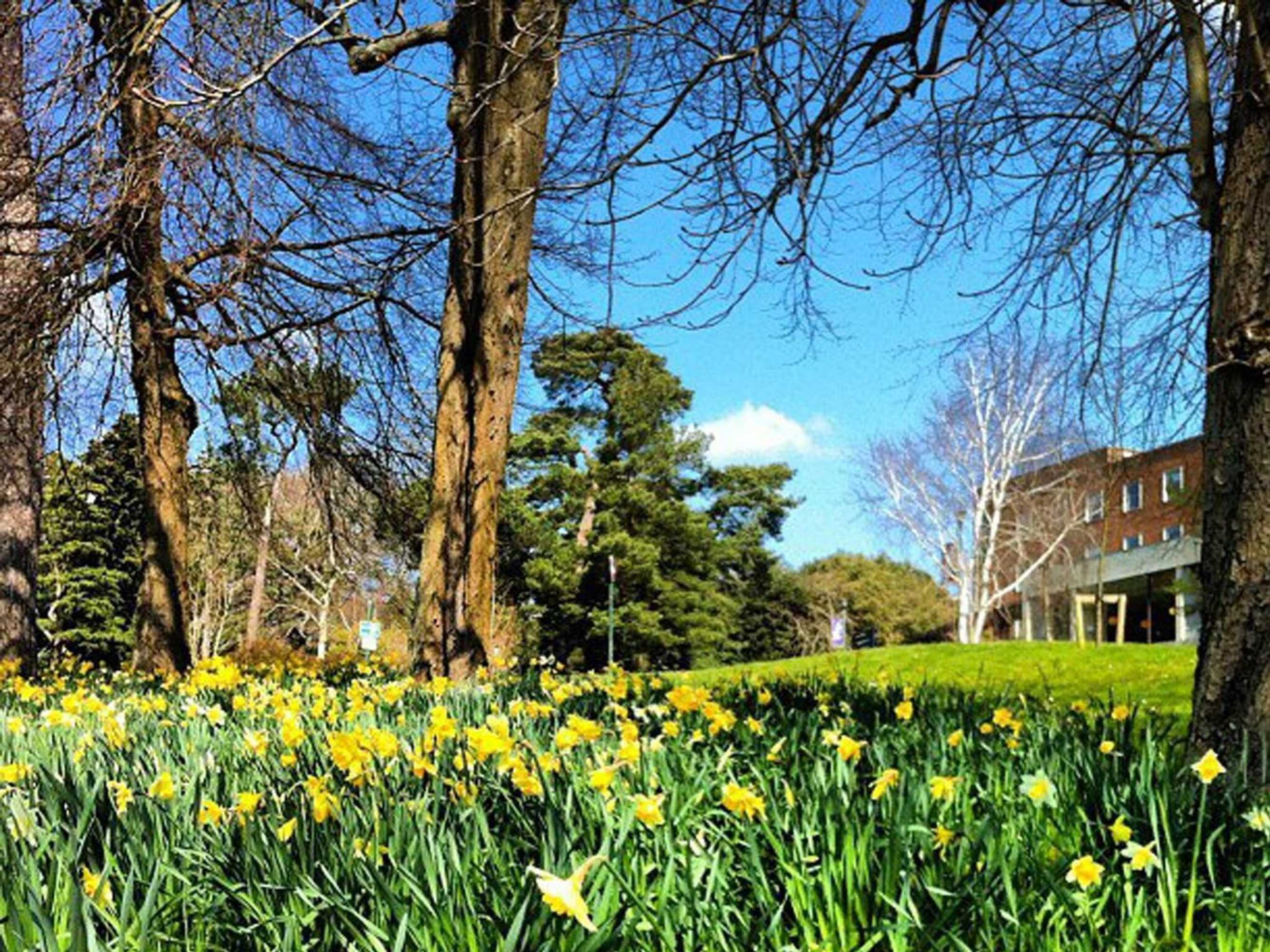 Gift card for University of Exeter Holland Hall Gift card for University of Exeter Holland Hall