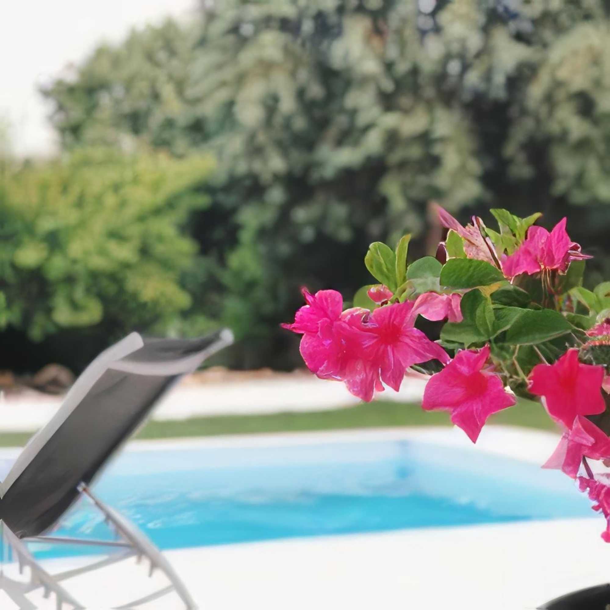 Gift card for Meio Country House