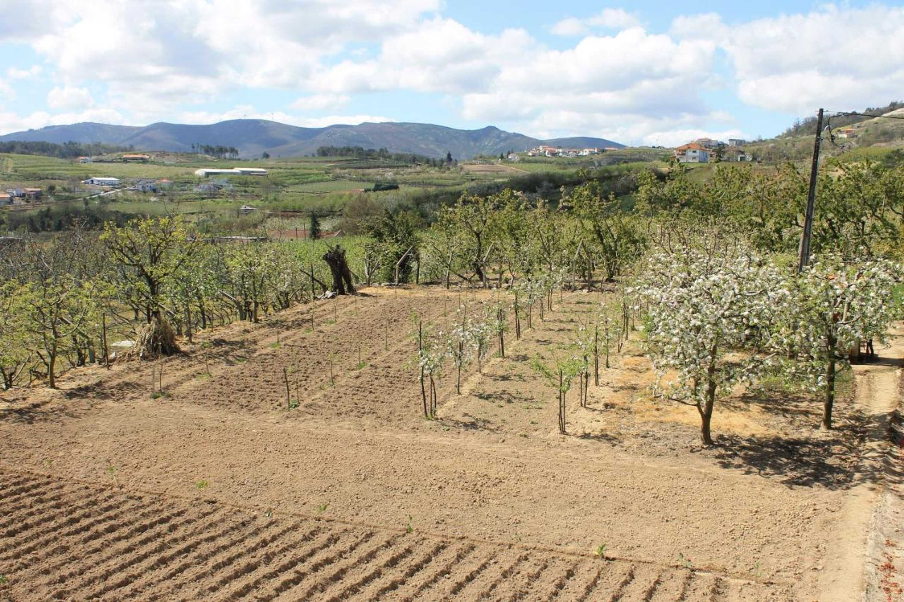 Gift card for Casa do Batista