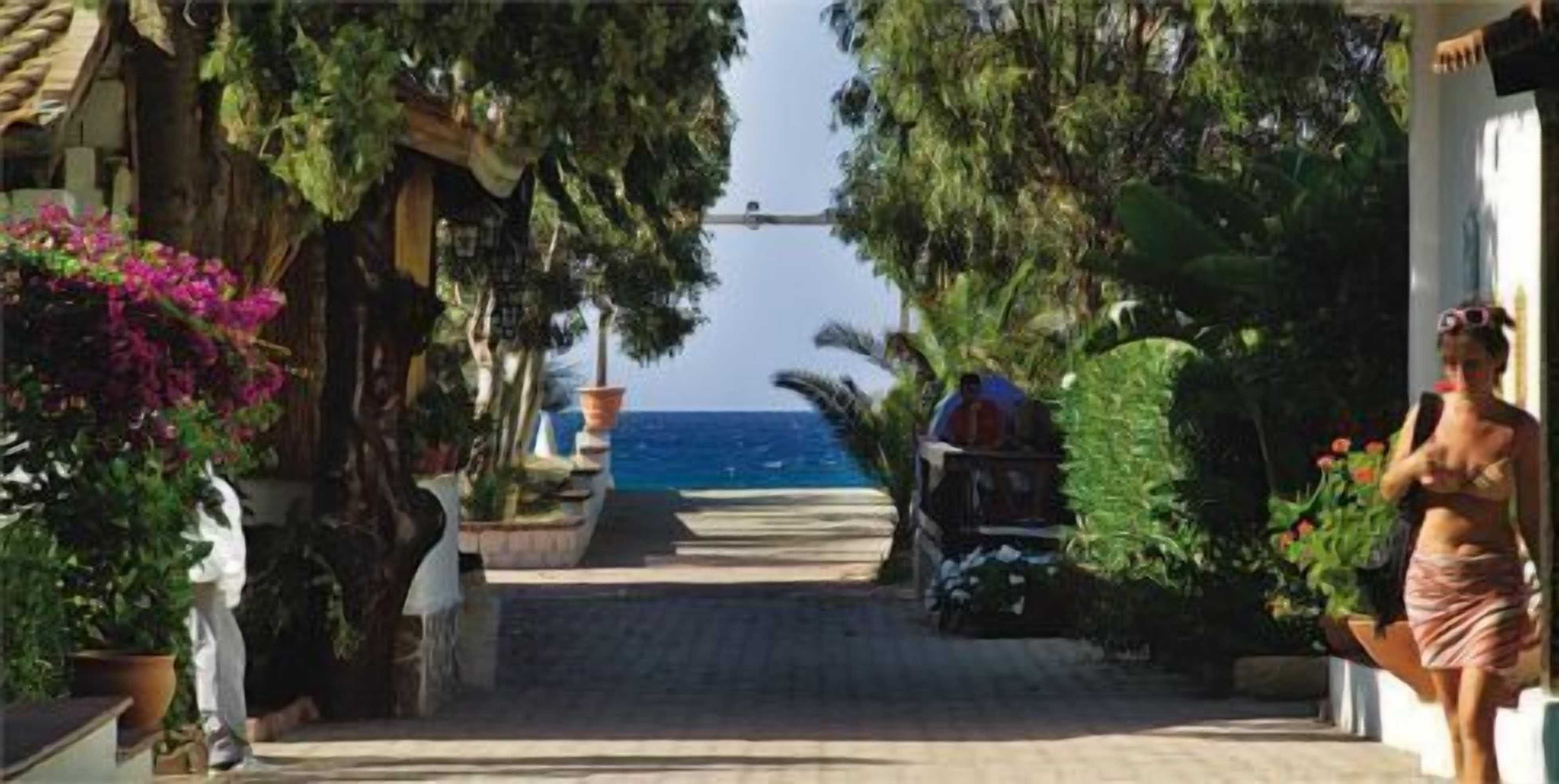 Gift card for Patti Beach Club