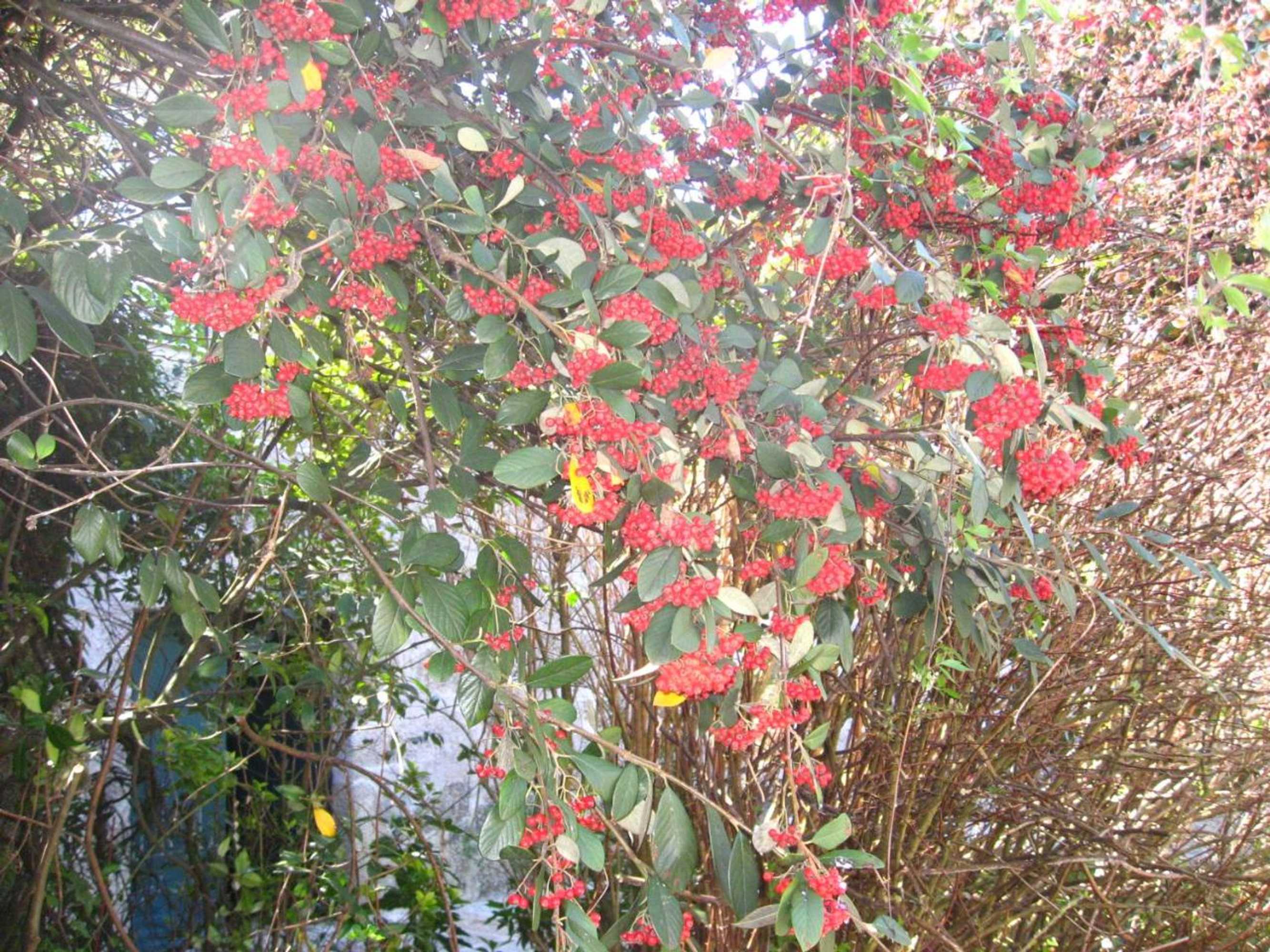 Gift card for Casa De Carcavelos Gift card for Casa De Carcavelos