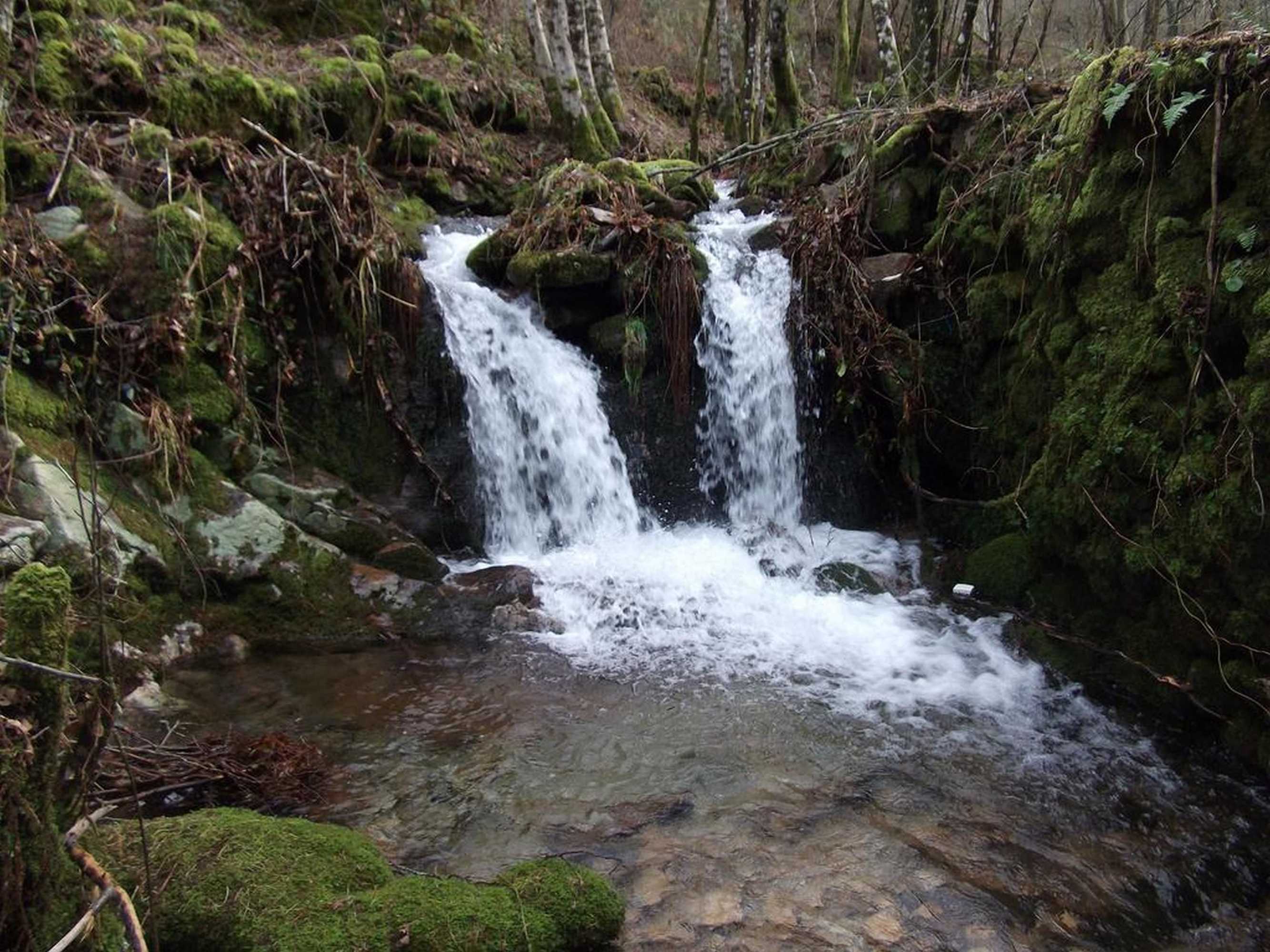 Gift card for Quinta Dos Caibrais