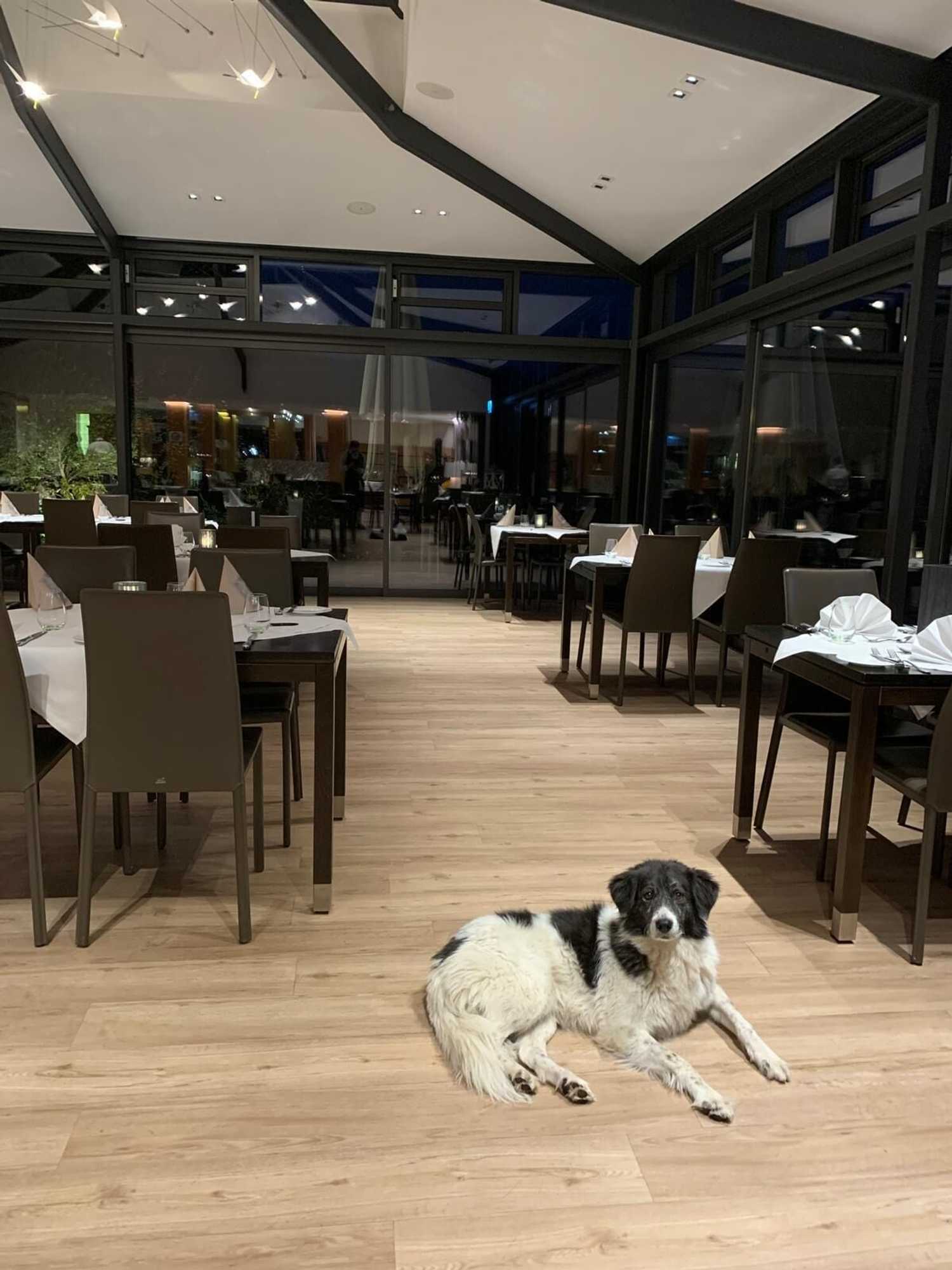 Gift card for Landidyll Hotel-Restaurant Birkenhof