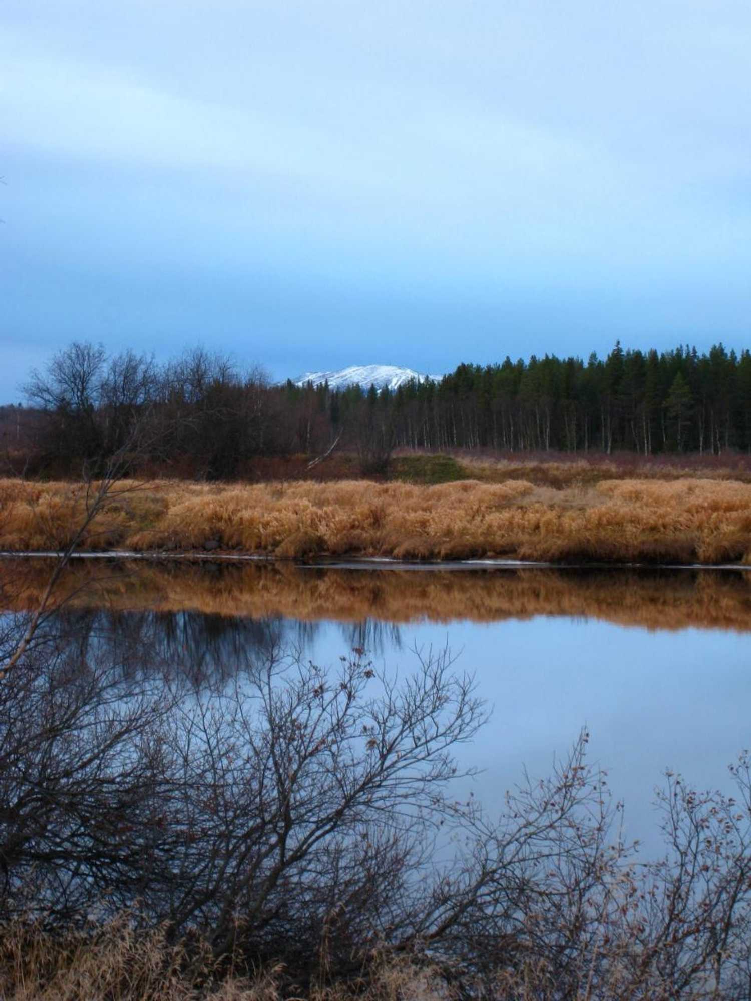 Gift card for Guesthouse Golden Goose