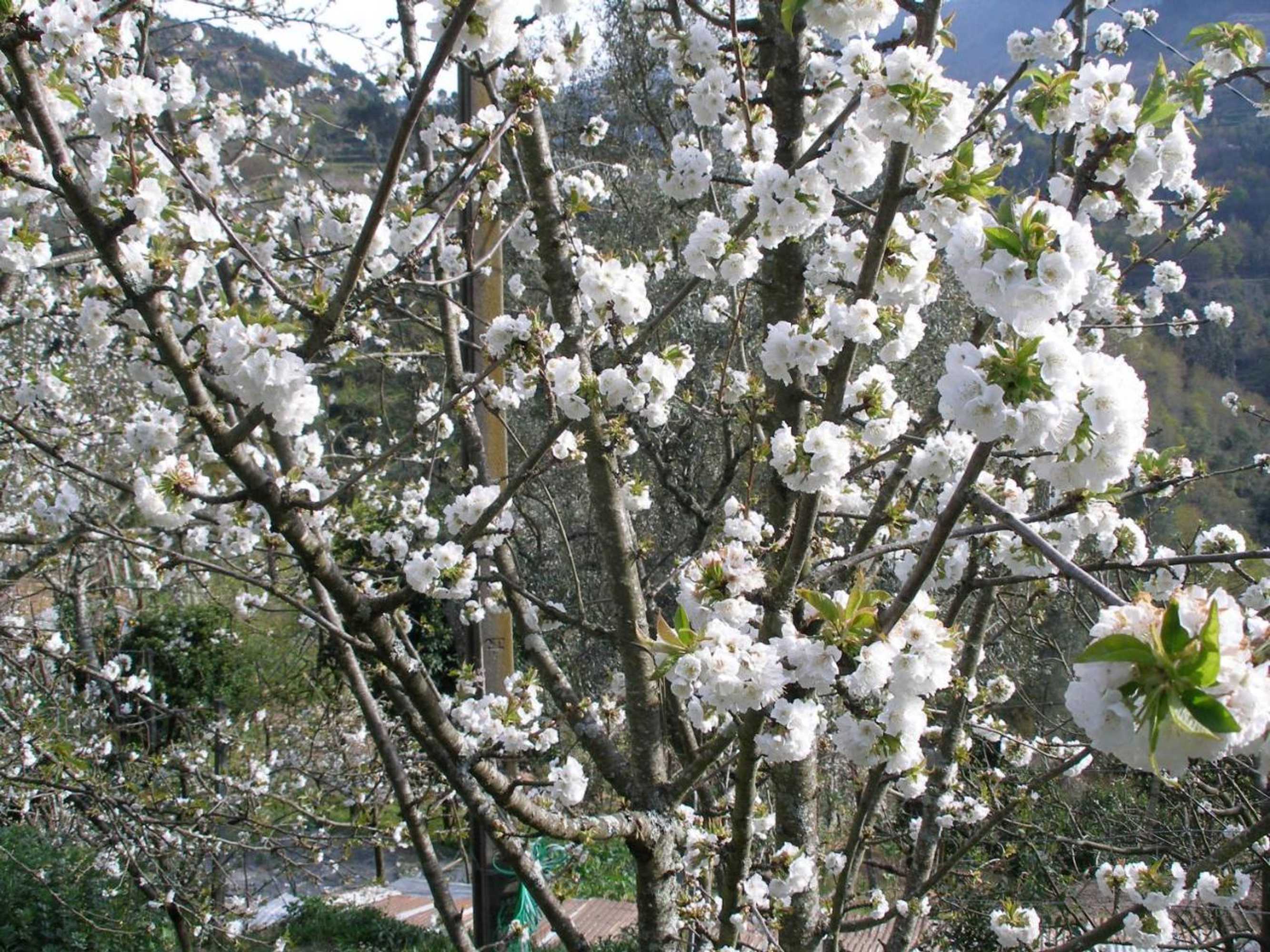 Gift card for Casa do Moleiro