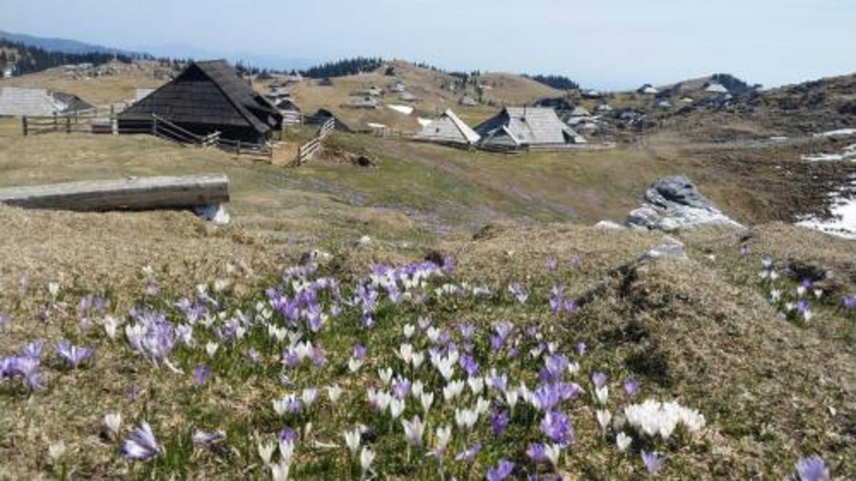 Gift card for Chalet Pehta Velika Planina Gift card for Chalet Pehta Velika Planina