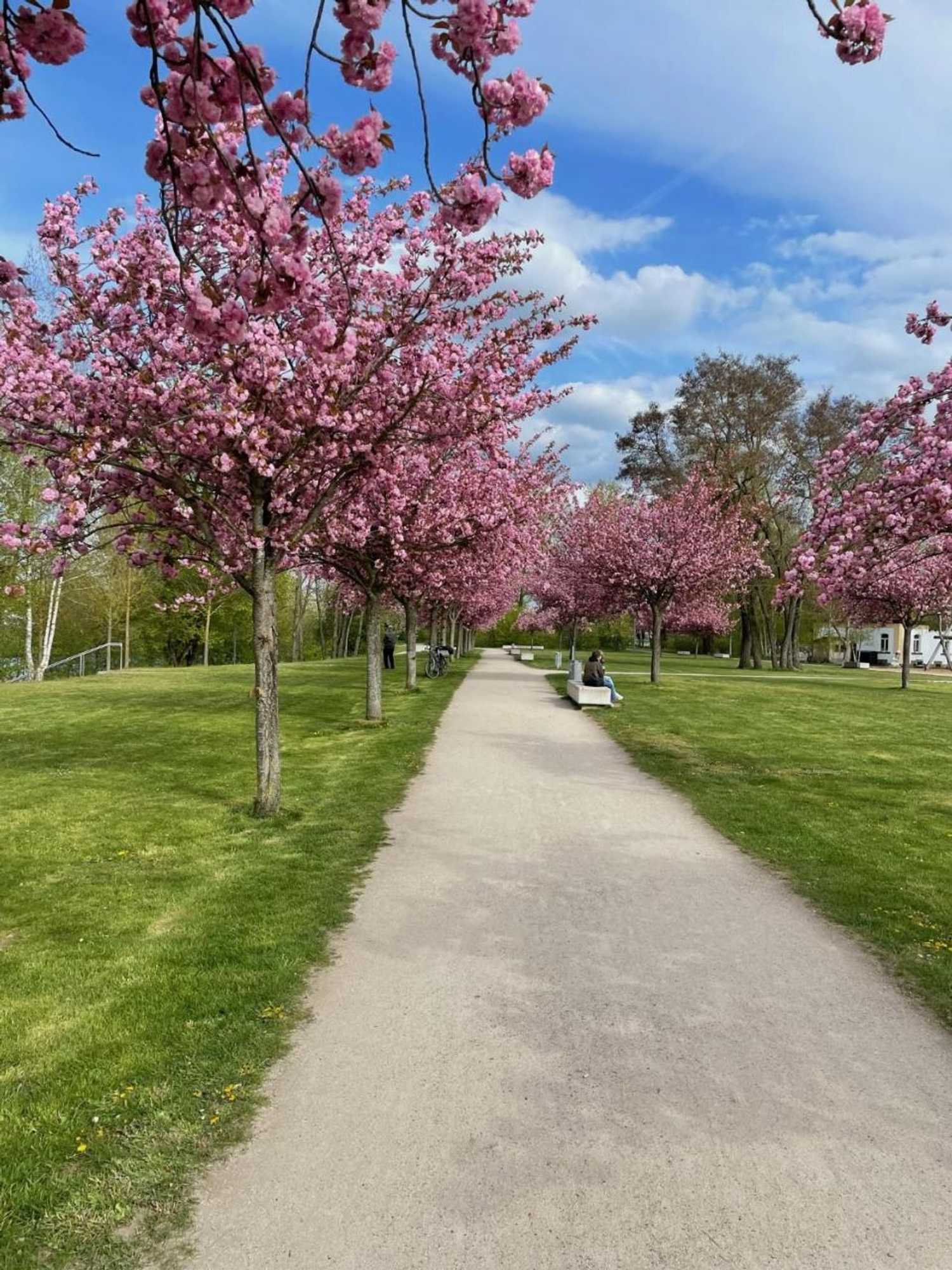 Gift card for Windfelder am See