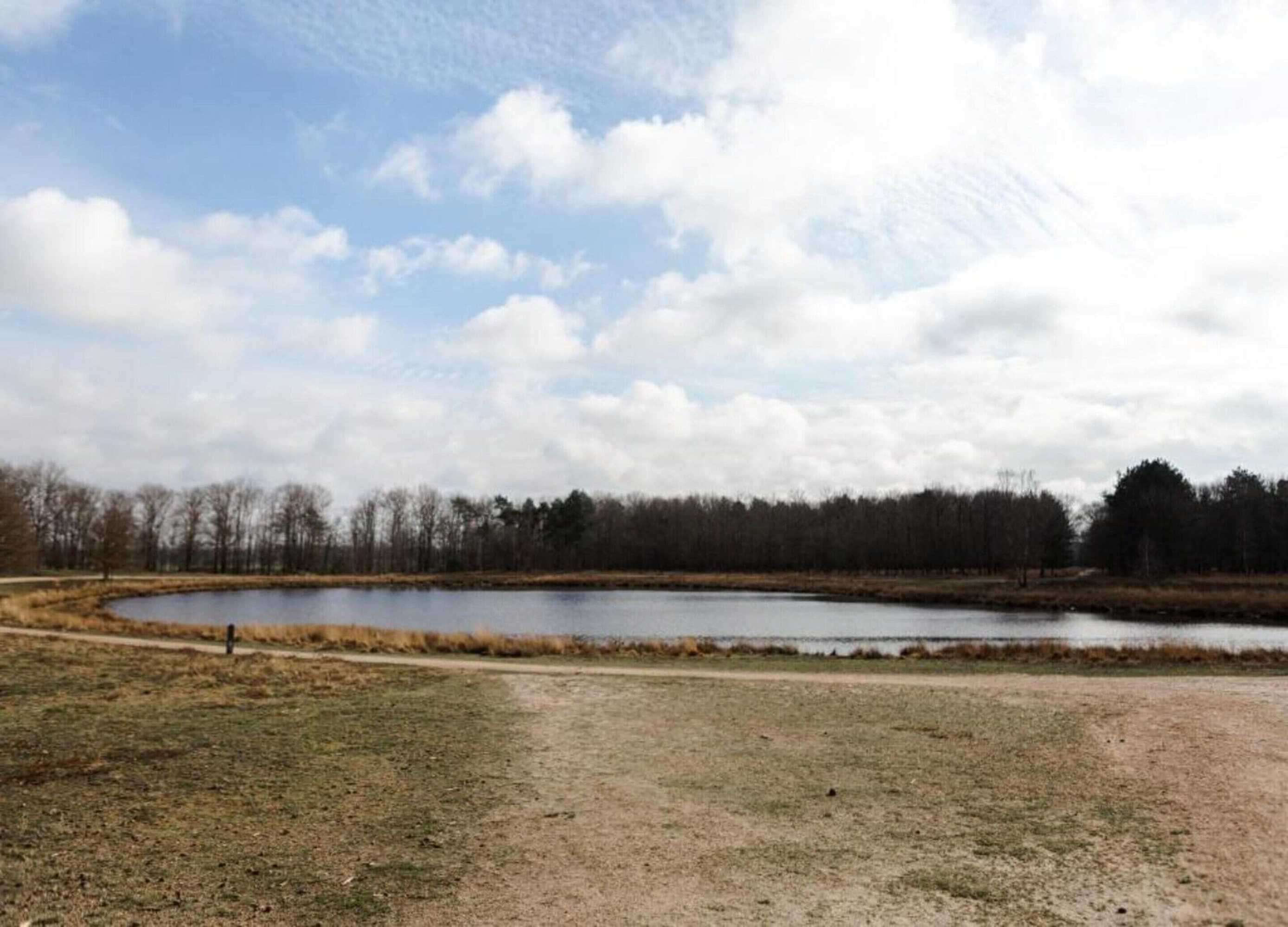 Gift card for Chalet in Eindhoven Near Bospark 't Wolfsven Gift card for Chalet in Eindhoven Near Bospark 't Wolfsven