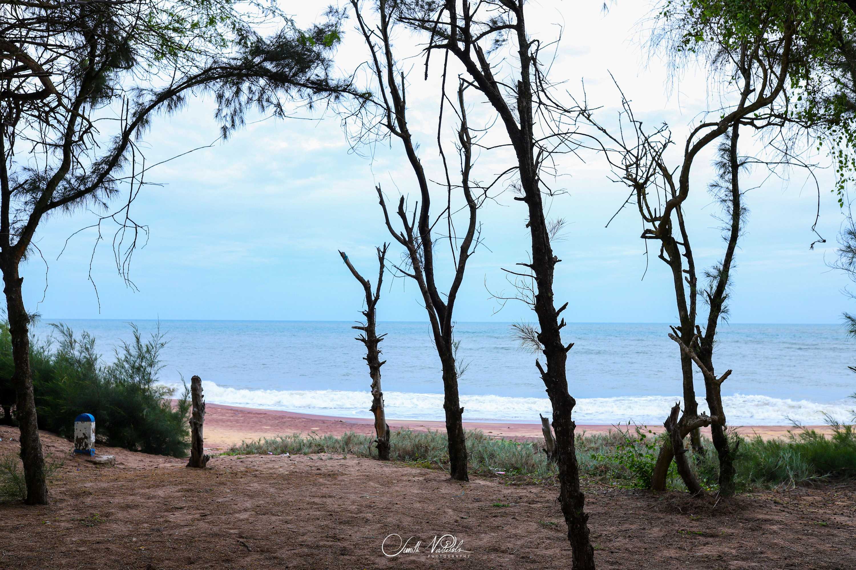 Gift card for Ceylonta Beach Resort And Spa Gift card for Ceylonta Beach Resort And Spa