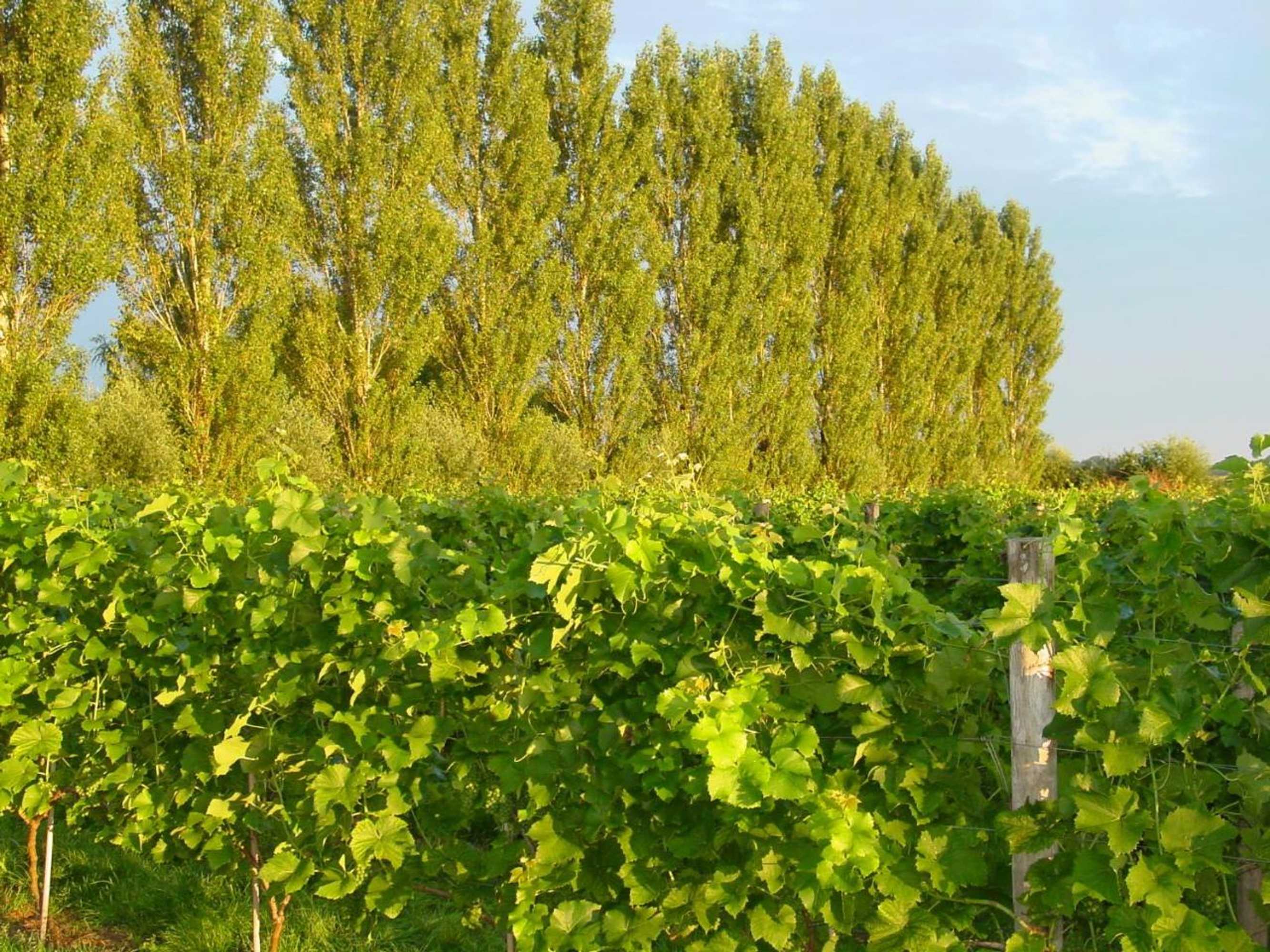 Gift card for Park Nieuwgrapendaal