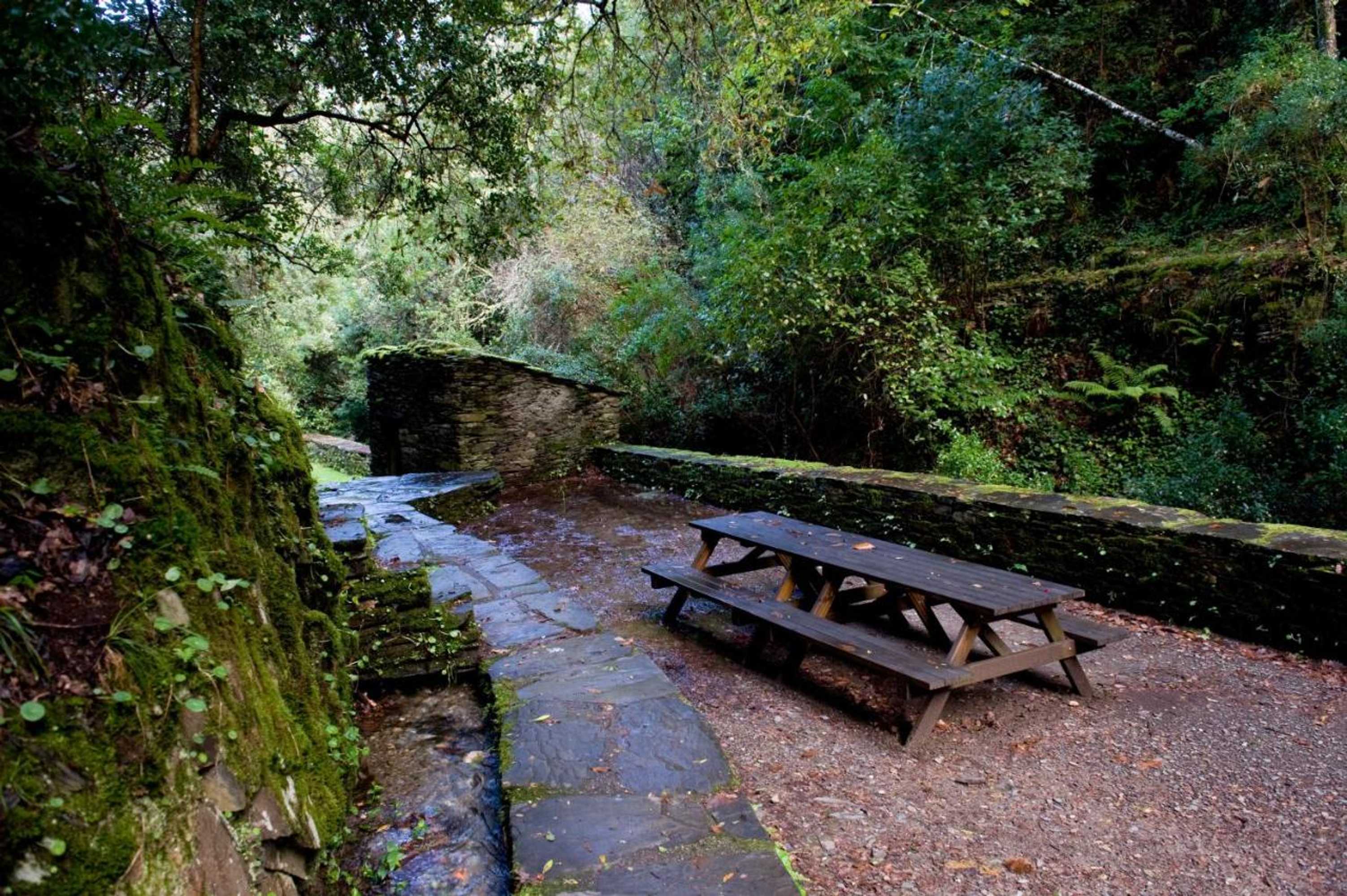 Gift card for Casa do Rosmaninho