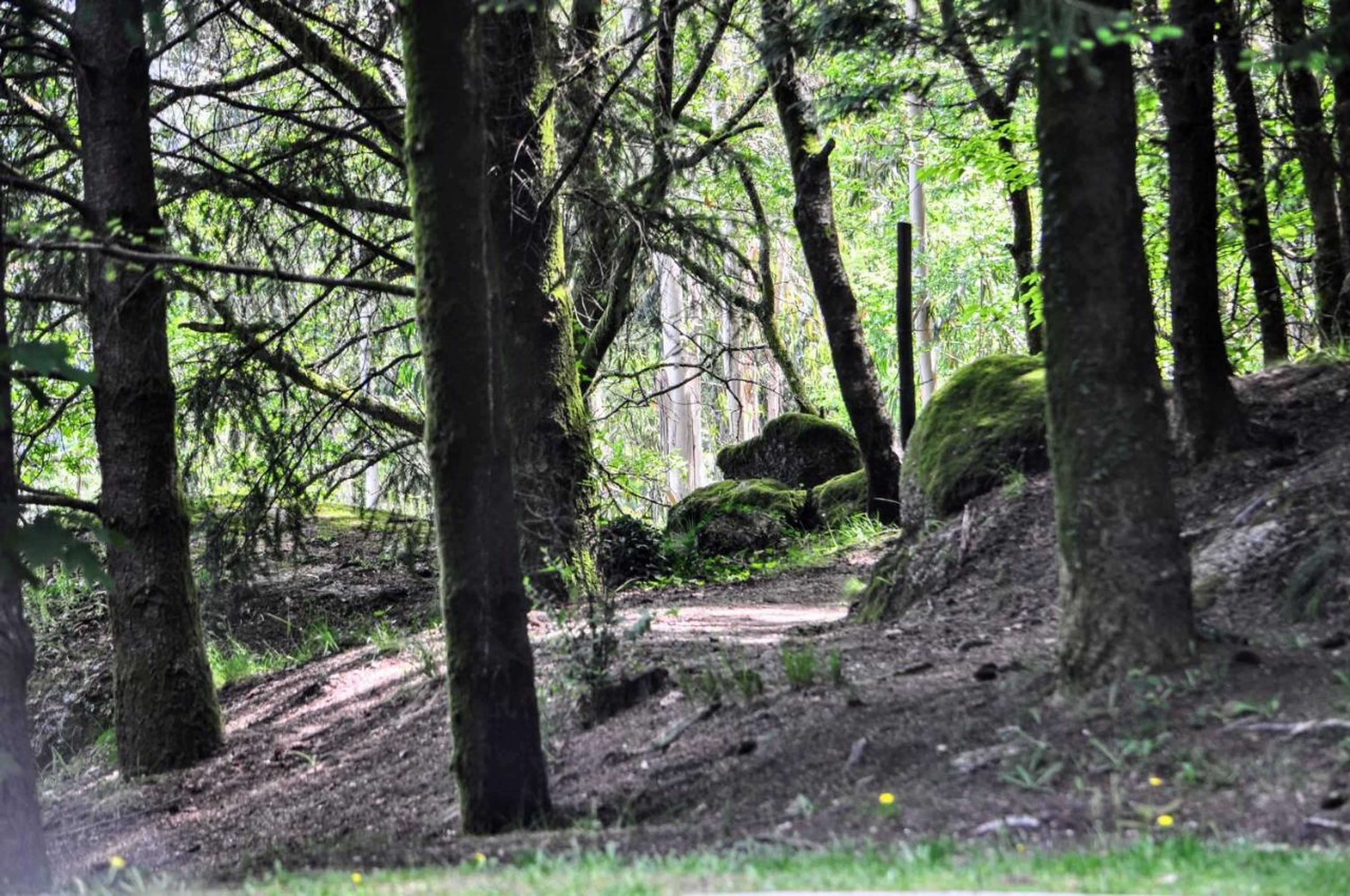 Gift card for Secret do Gerês