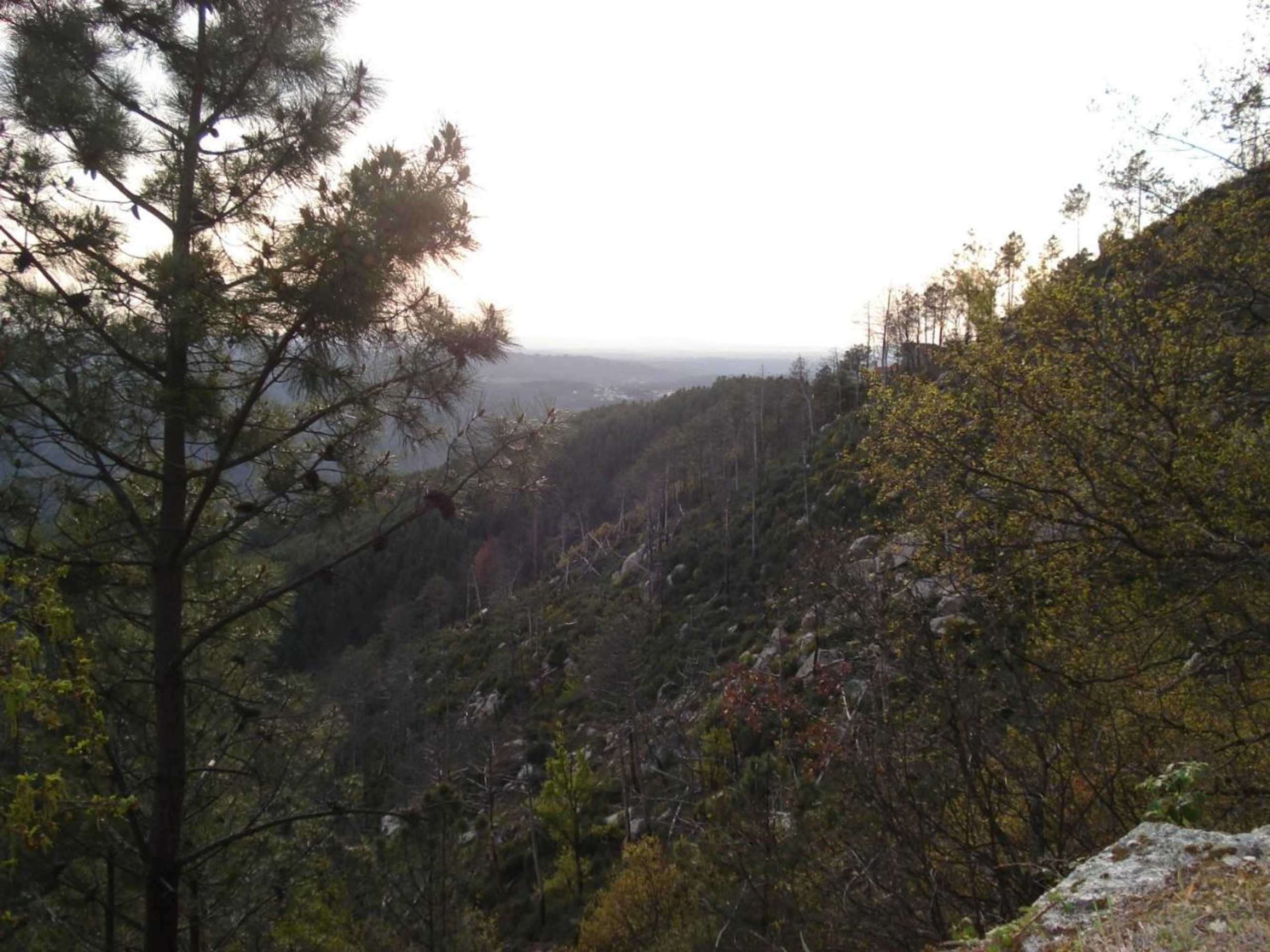 Gift card for Residencial Mira-Sol