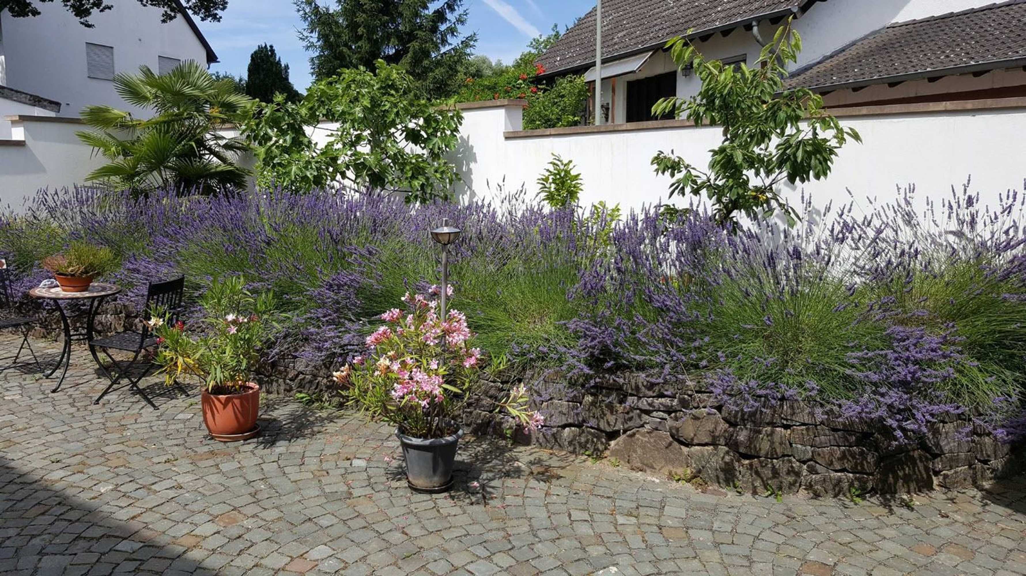 Gift card for Winzerhaus am Eckbach