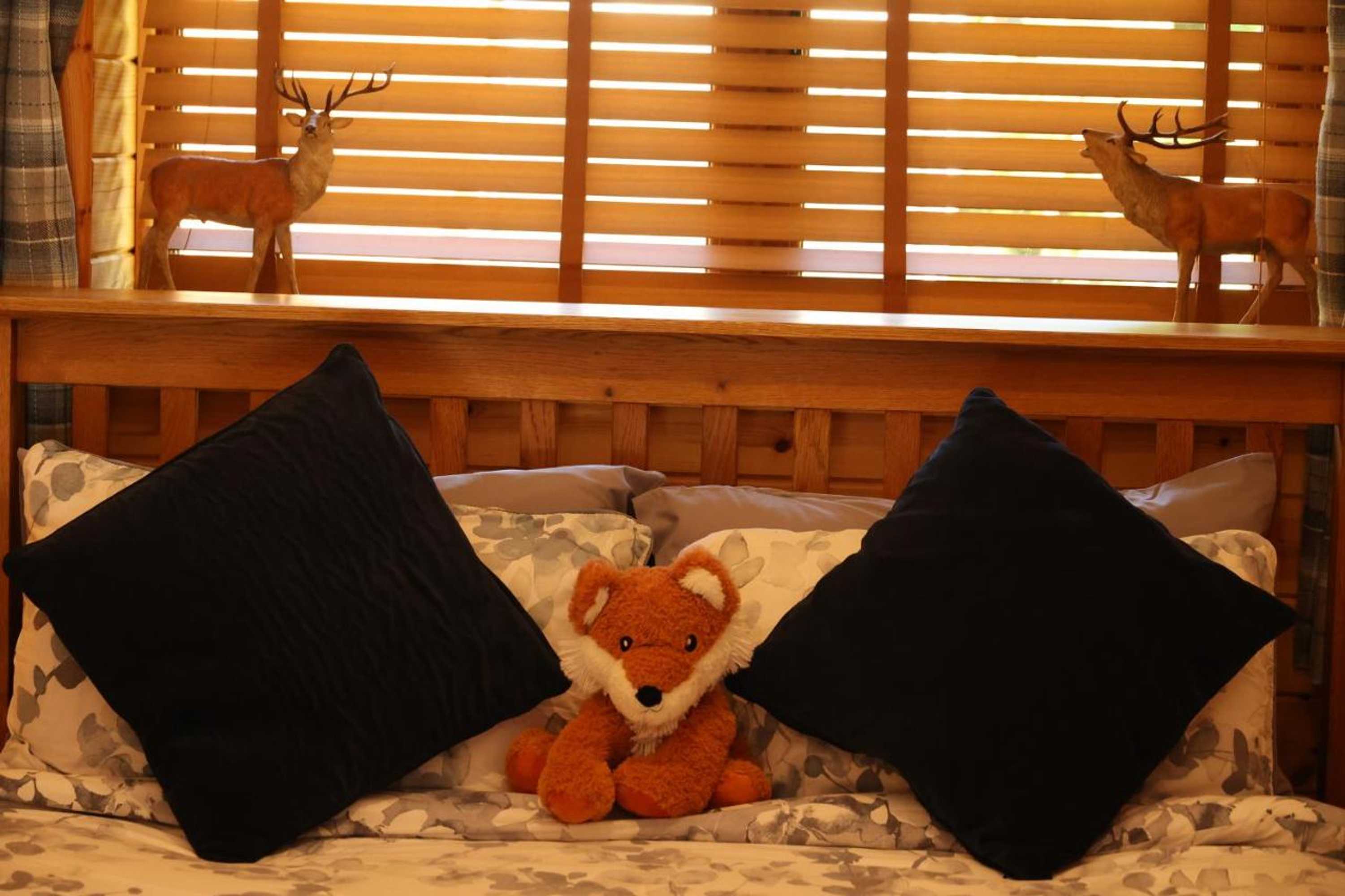 Gift card for Badger's Wood at Hoo Farm