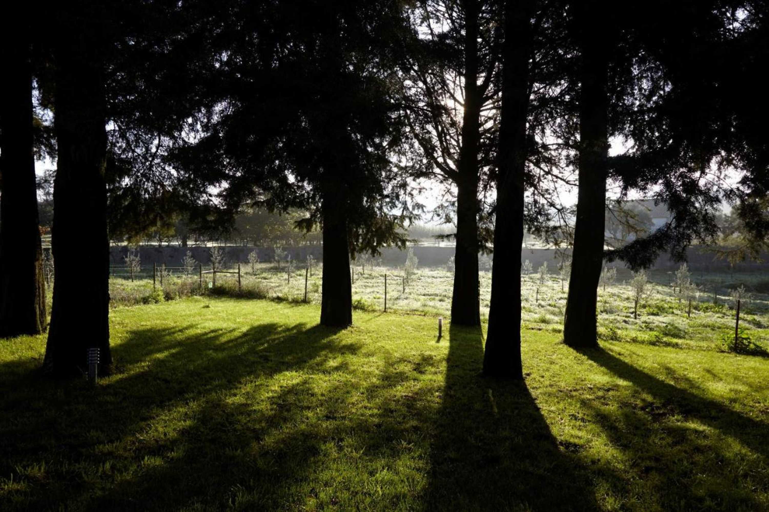 Gift card for Quinta Do Sobral Gift card for Quinta Do Sobral