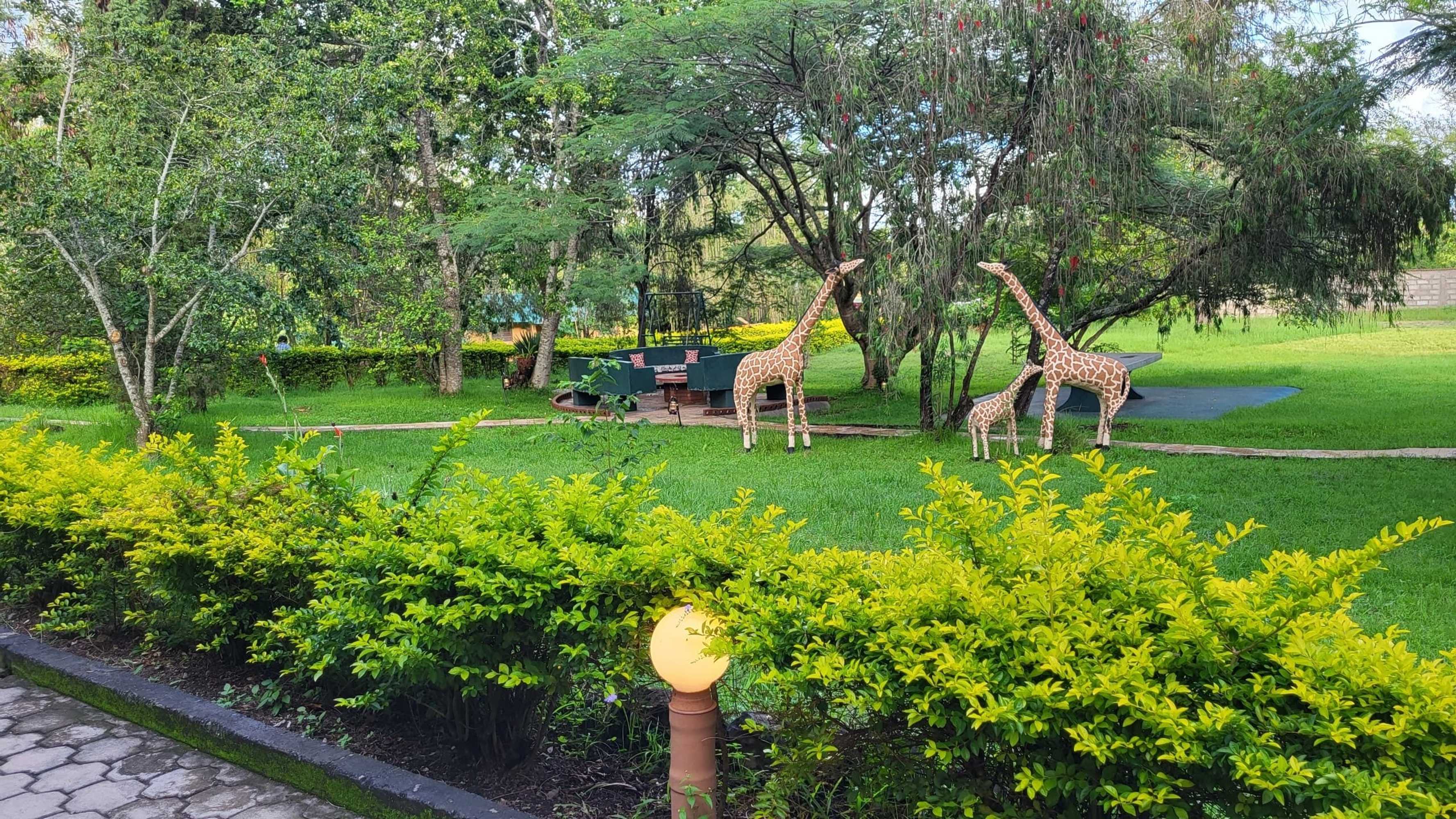 Gift card for Meru View Lodge Gift card for Meru View Lodge