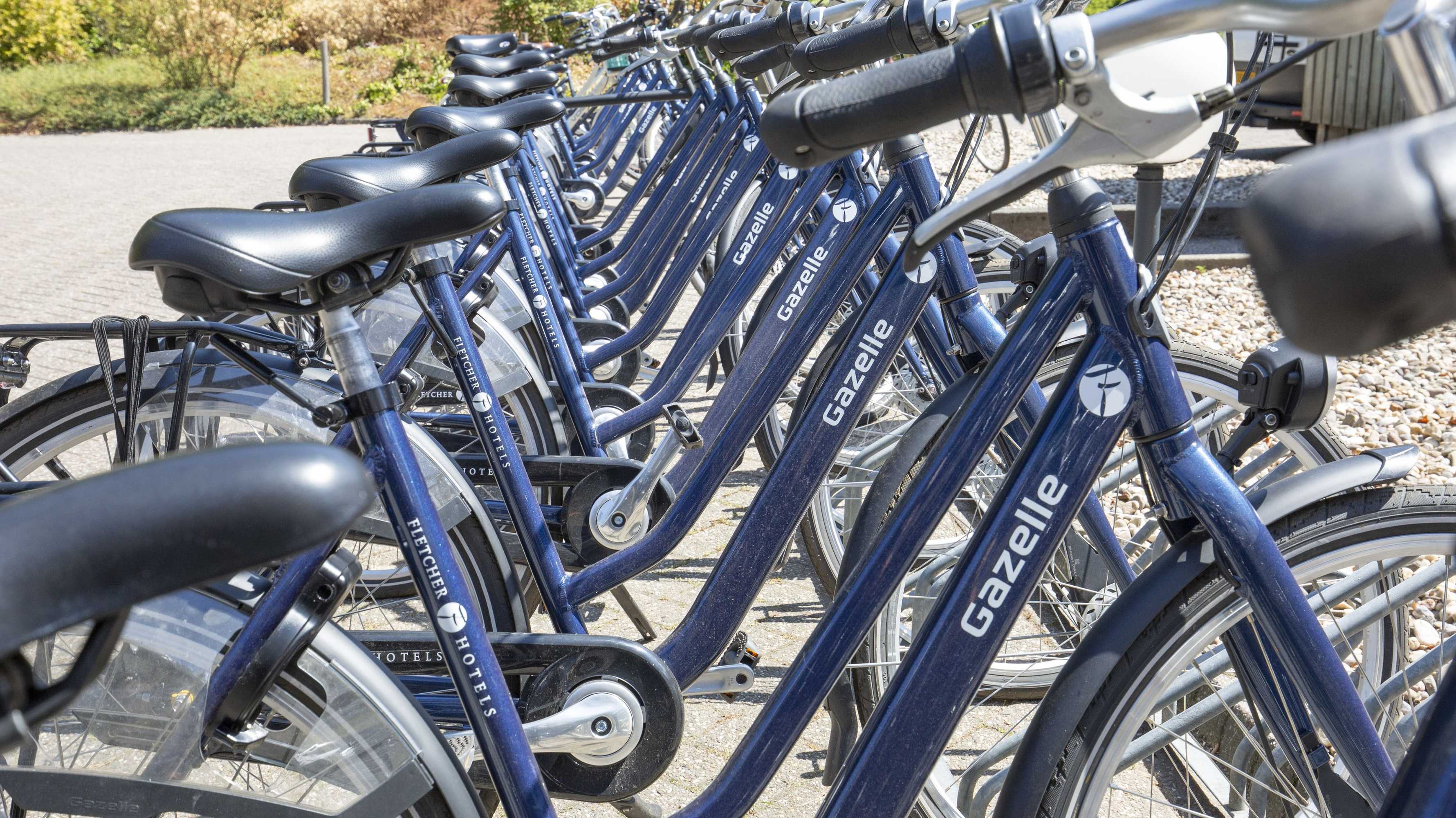 Gift card for Fletcher Hotel-Paleis Stadhouderlijk Hof